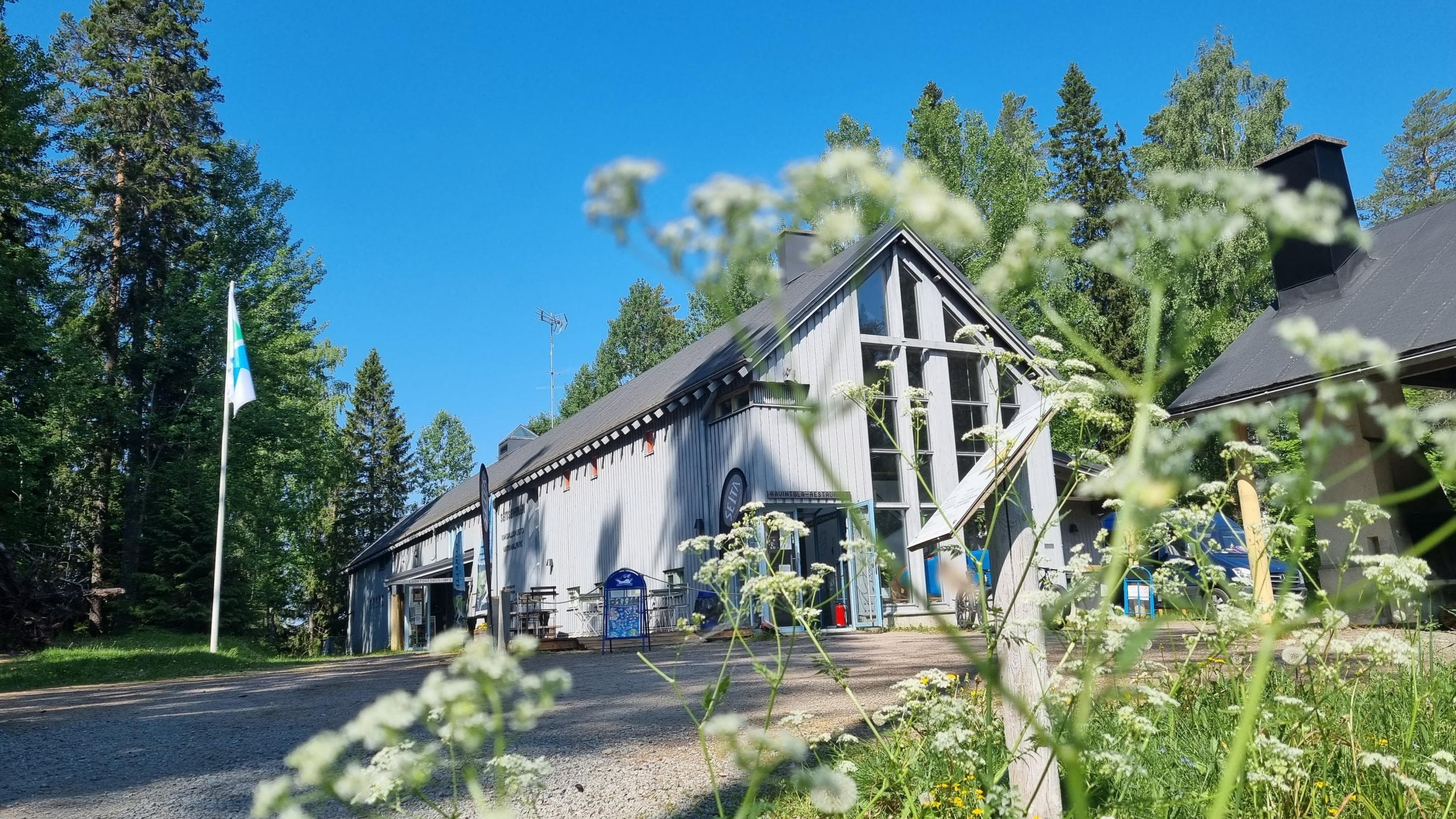 Grey wooden house in the middle of the forest.