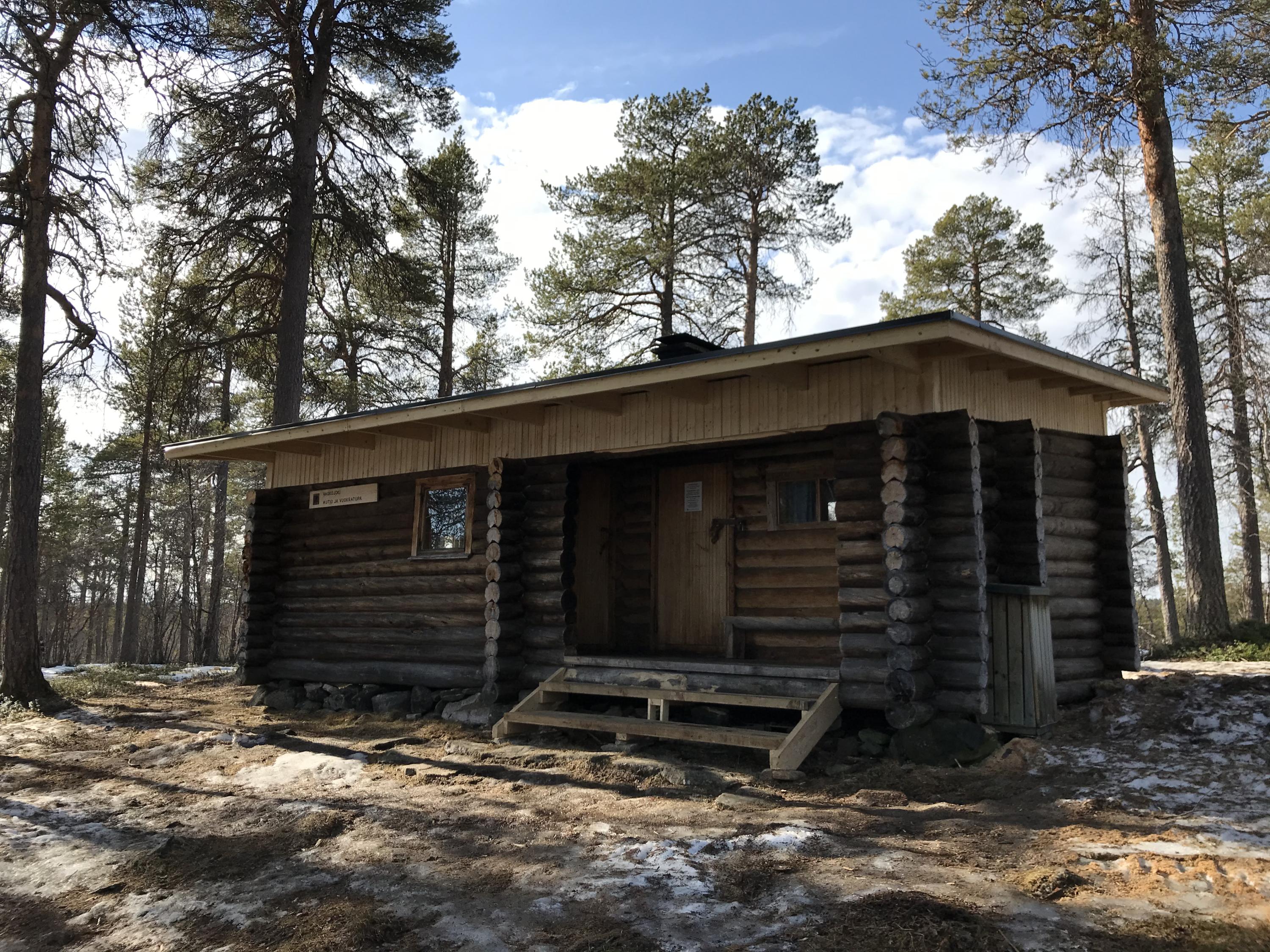 The log cabin is located in a pine forest. The weathered cabin has a new roof.