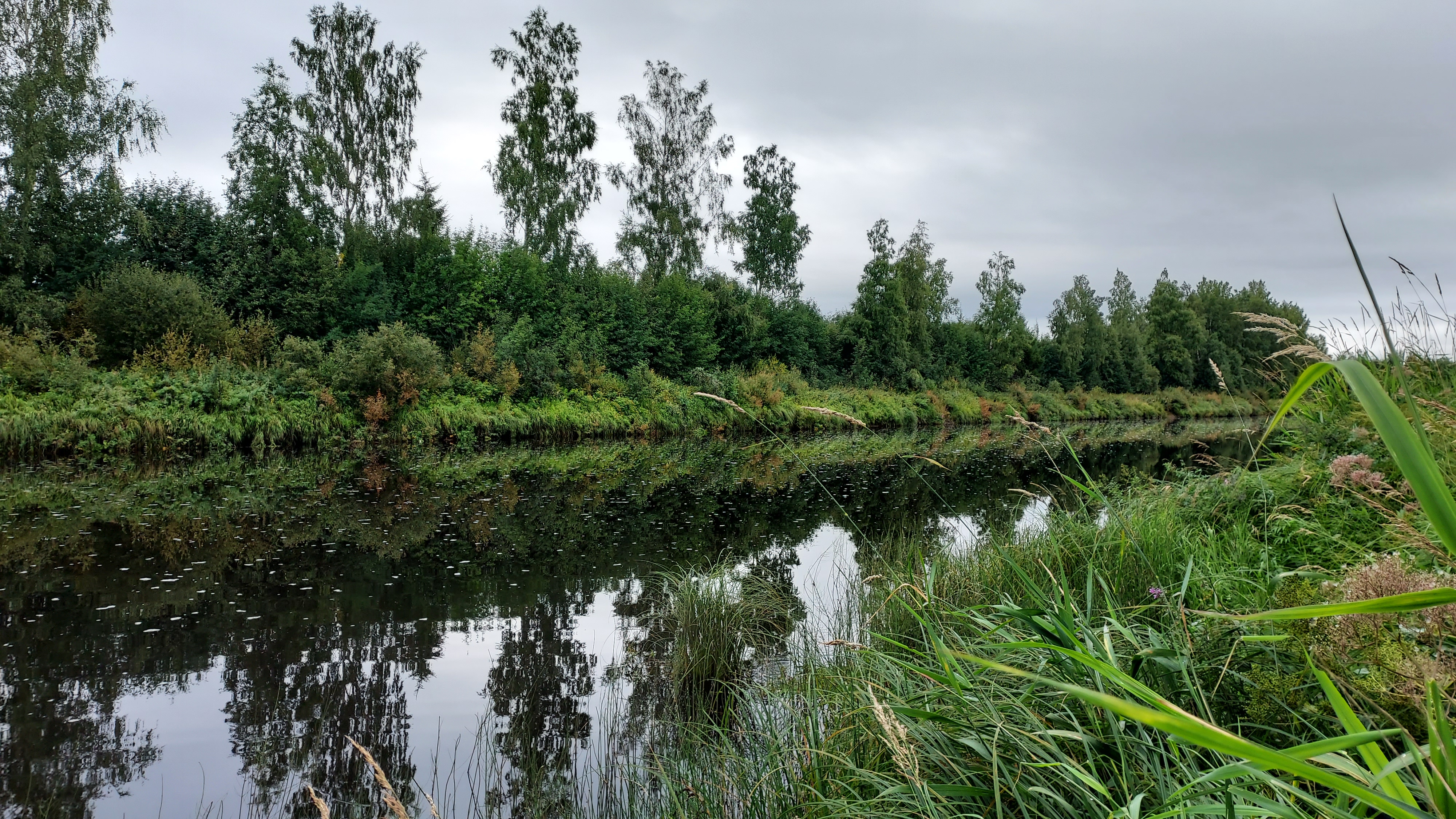 Vehreää joen rantaa. Joki on tyyni ja vastarannalla kasvaa puita.