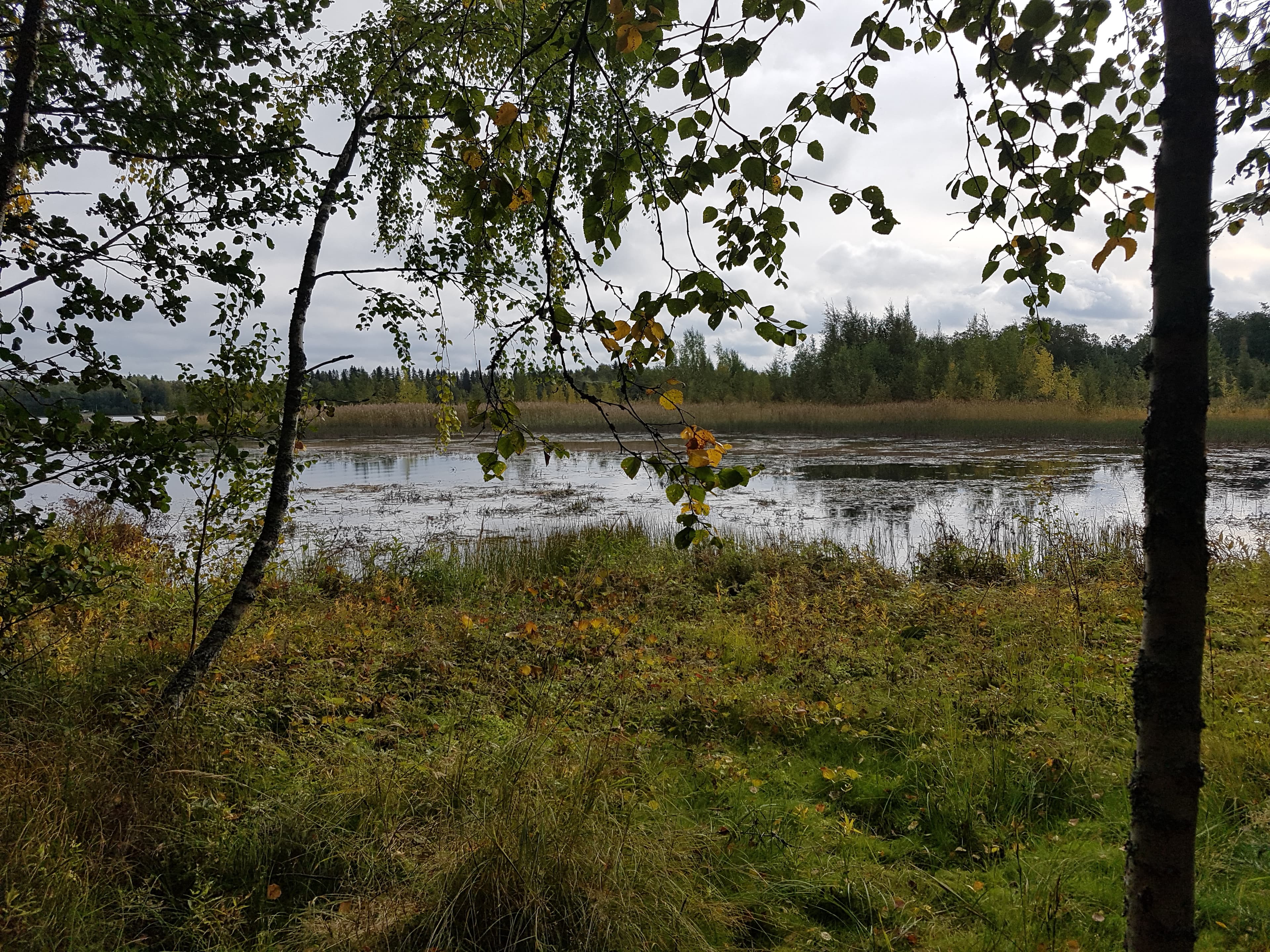 Syksyisten puiden takaa siintää kluuvijärvi.