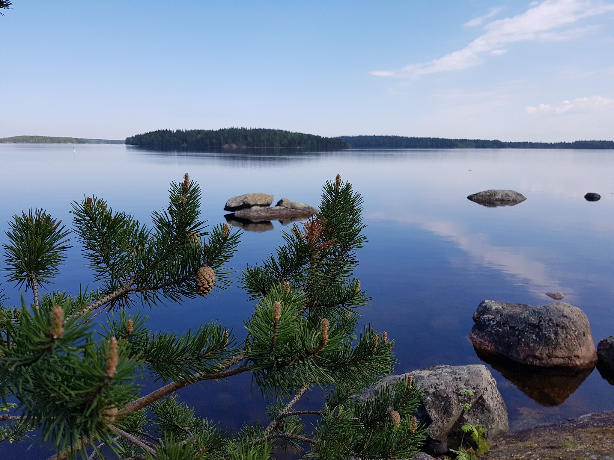 Lammassaaren ranta
