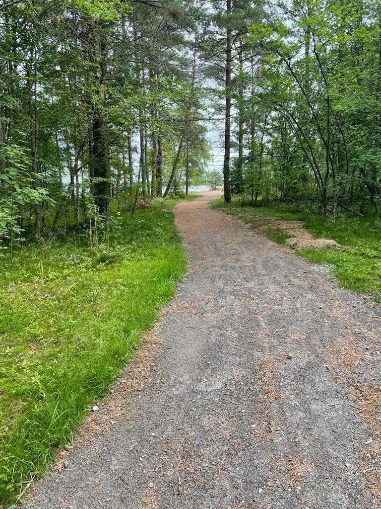 Leveä polku kulkee rantametsän läpi. Taustalla siintää meri.