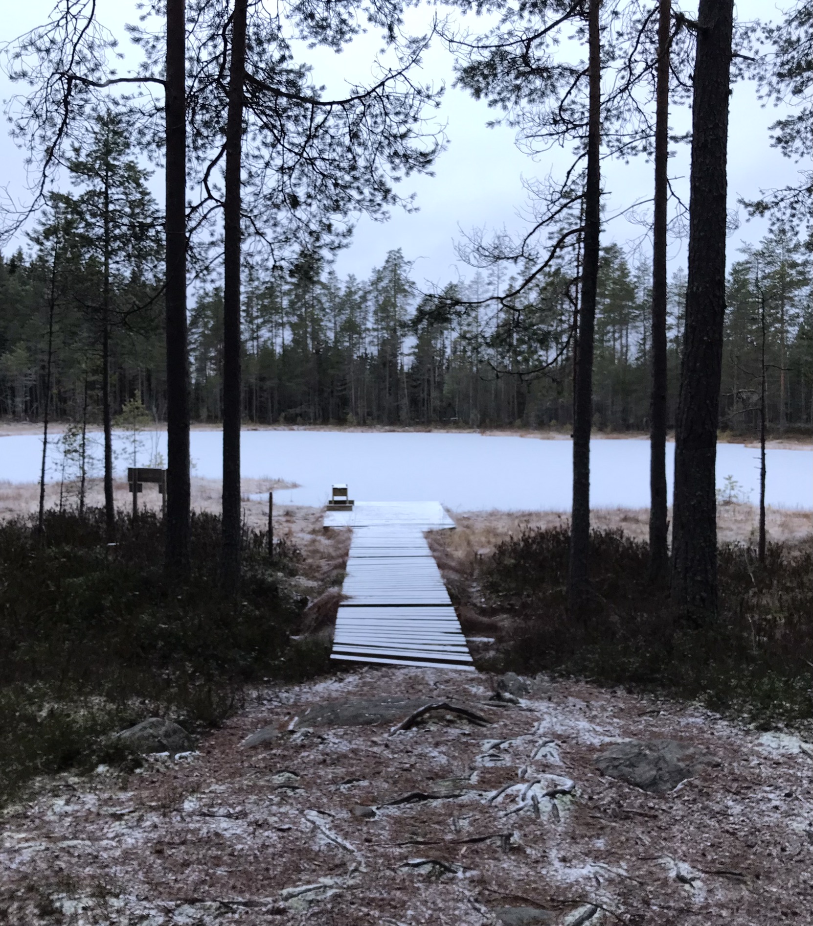 Hieman luminen laituri kulkee jäiseen lampeen. Laituria reunustavat tumman puhuvat puut ja lammen takana on metsää.