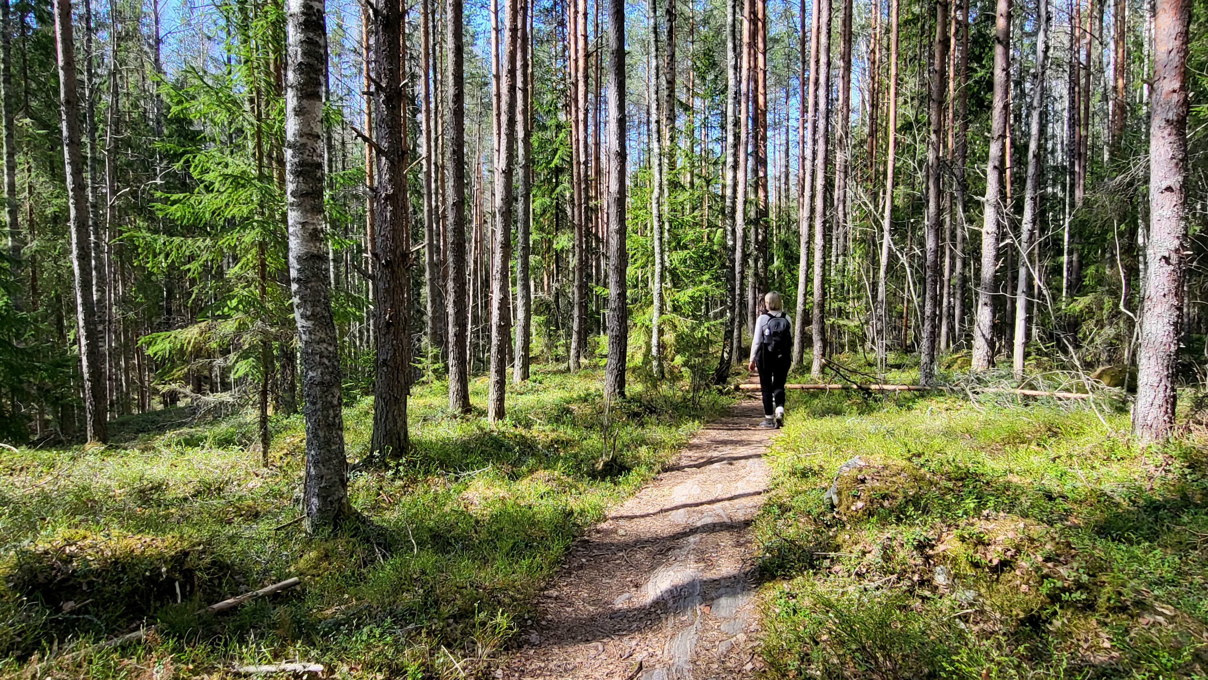 Nainen kävelee metsäpolulla.