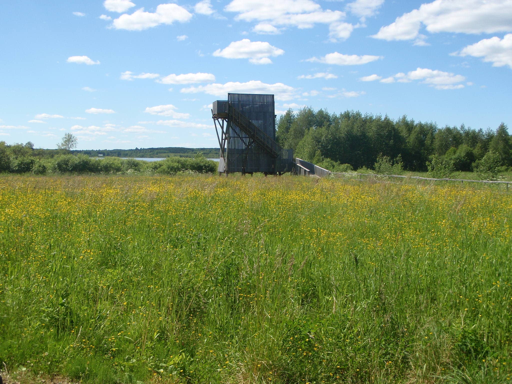 Kesäinen vehreä niitty jonka reunalla puinen kaksikerroksinen tilava lintujen tarkkailuun rakennettu torni. Taustalla häämöttää järvi ja taivaalla on poutapilviä.