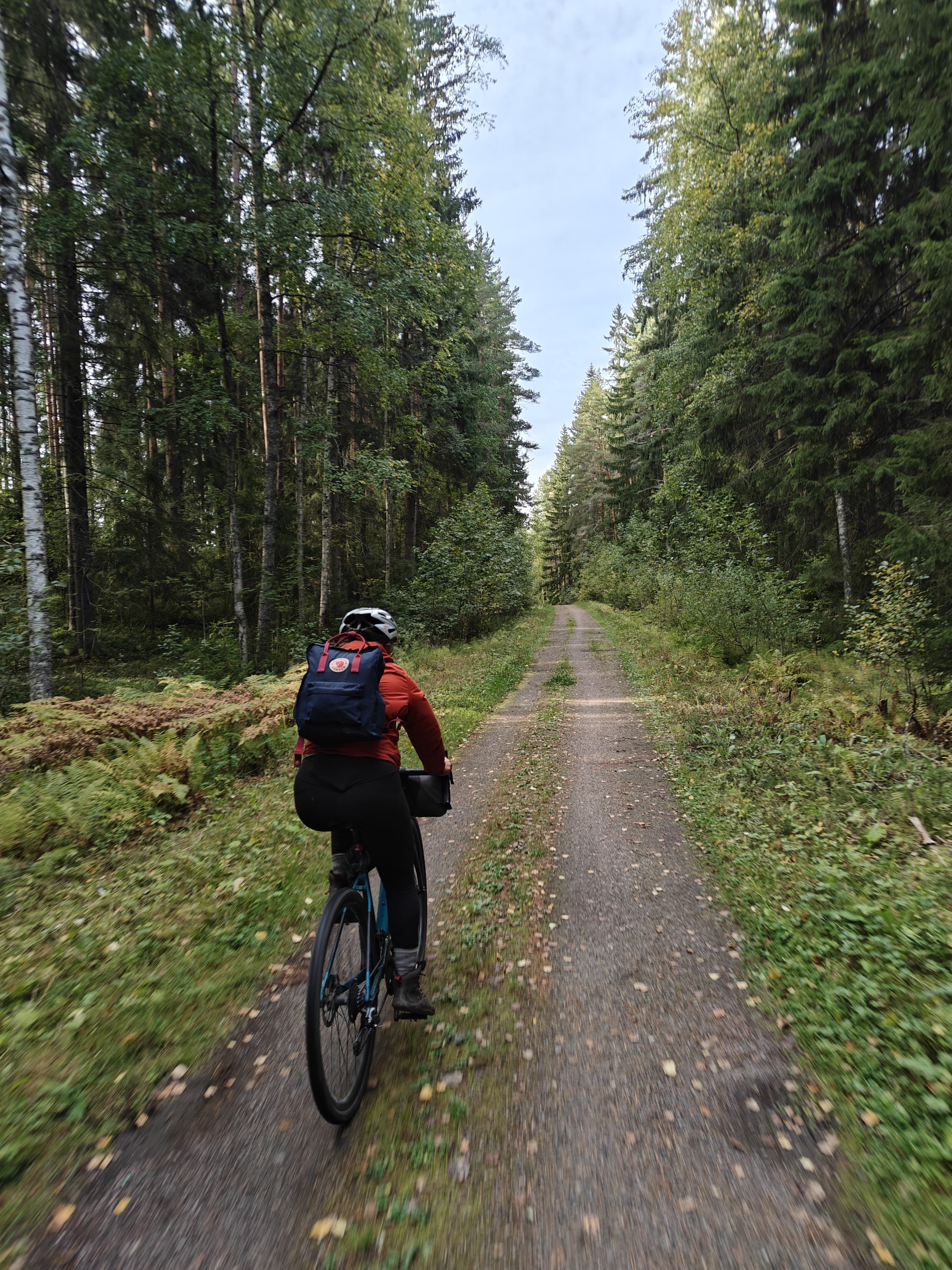 Kytäjän metsäteitä
