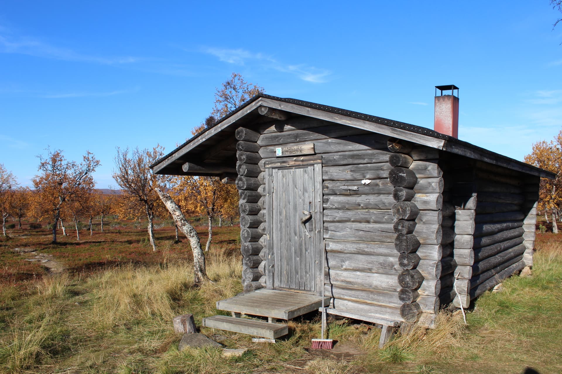 The weathered log cabin is located in a mountain birch forest.