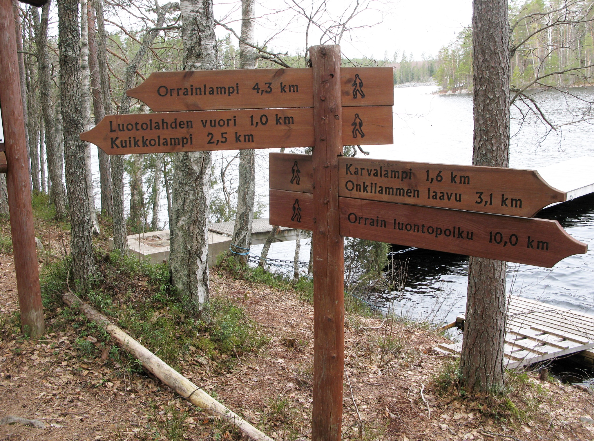 Orrainpolku viitta