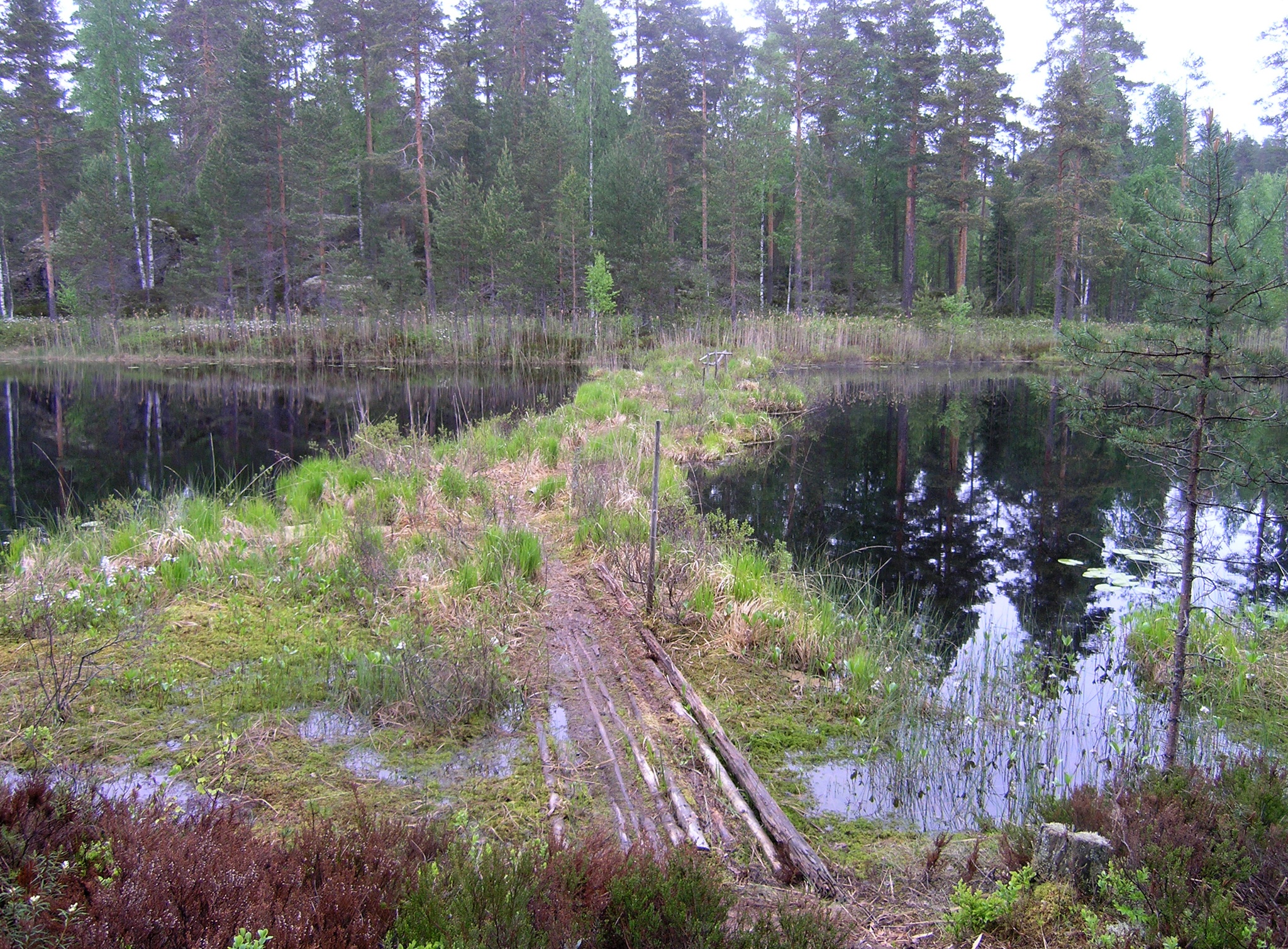 Sammalsilta vuonna 2014