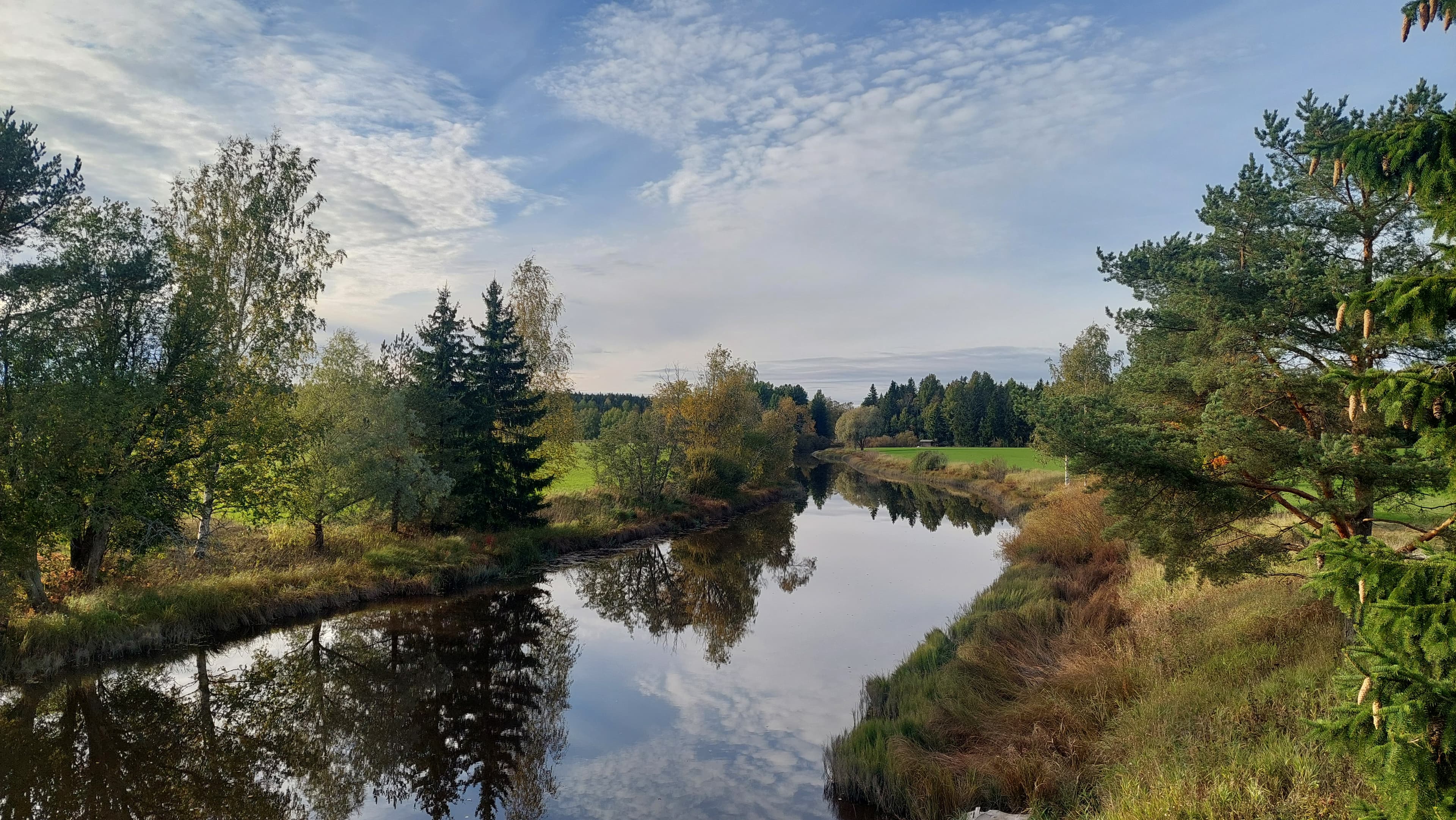 Mattila