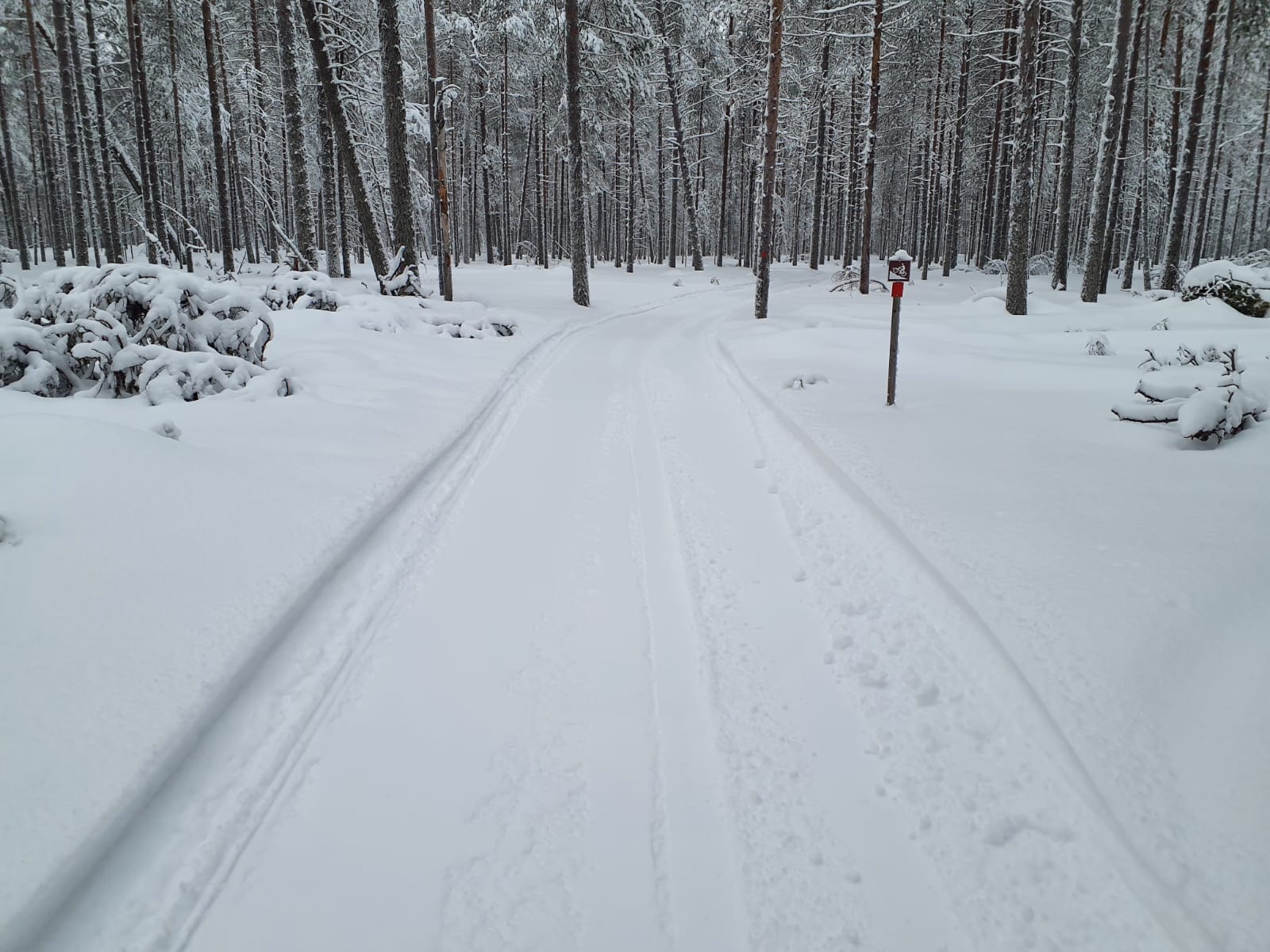 Erämaareitin lähtö Muikkupurolle. 