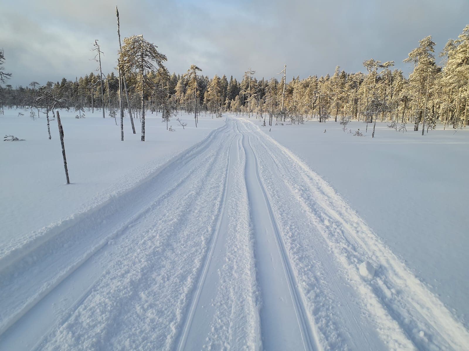 The trail at Ölkynsuo is pleasantly wide.
