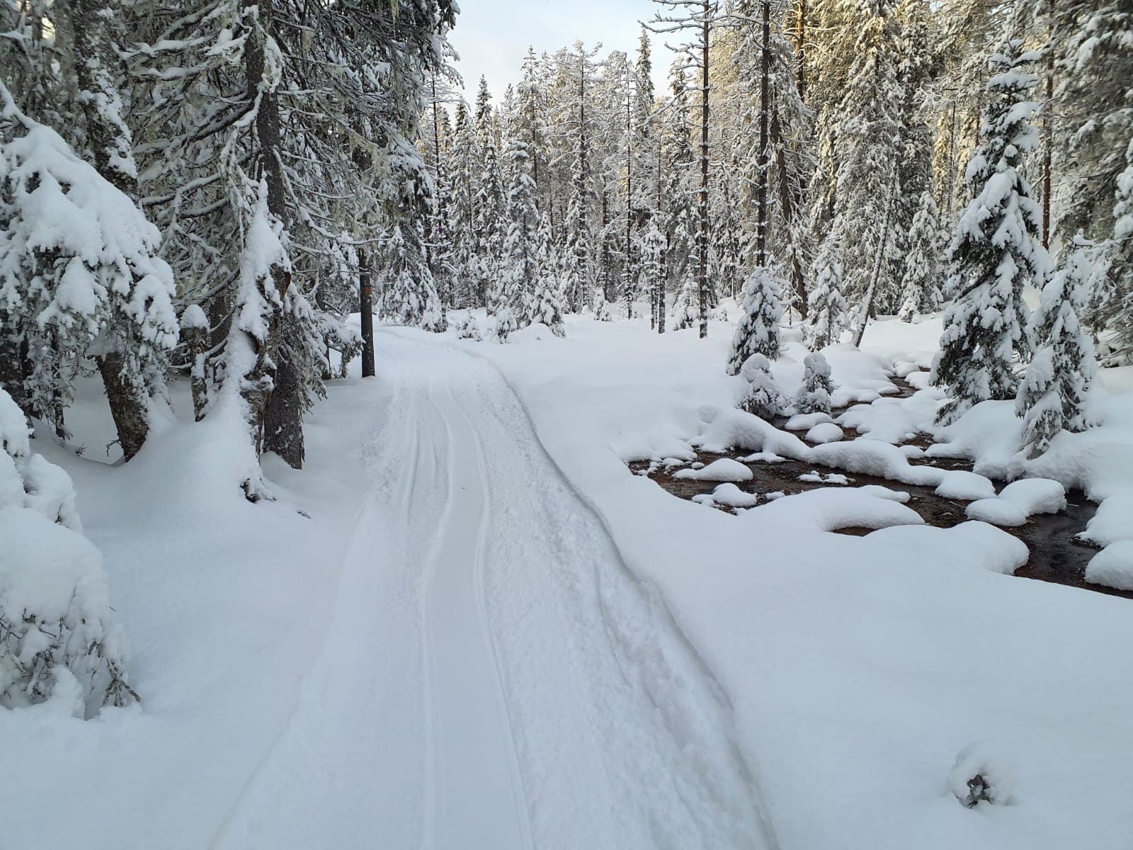 Along the Värikallio wilderness trail.