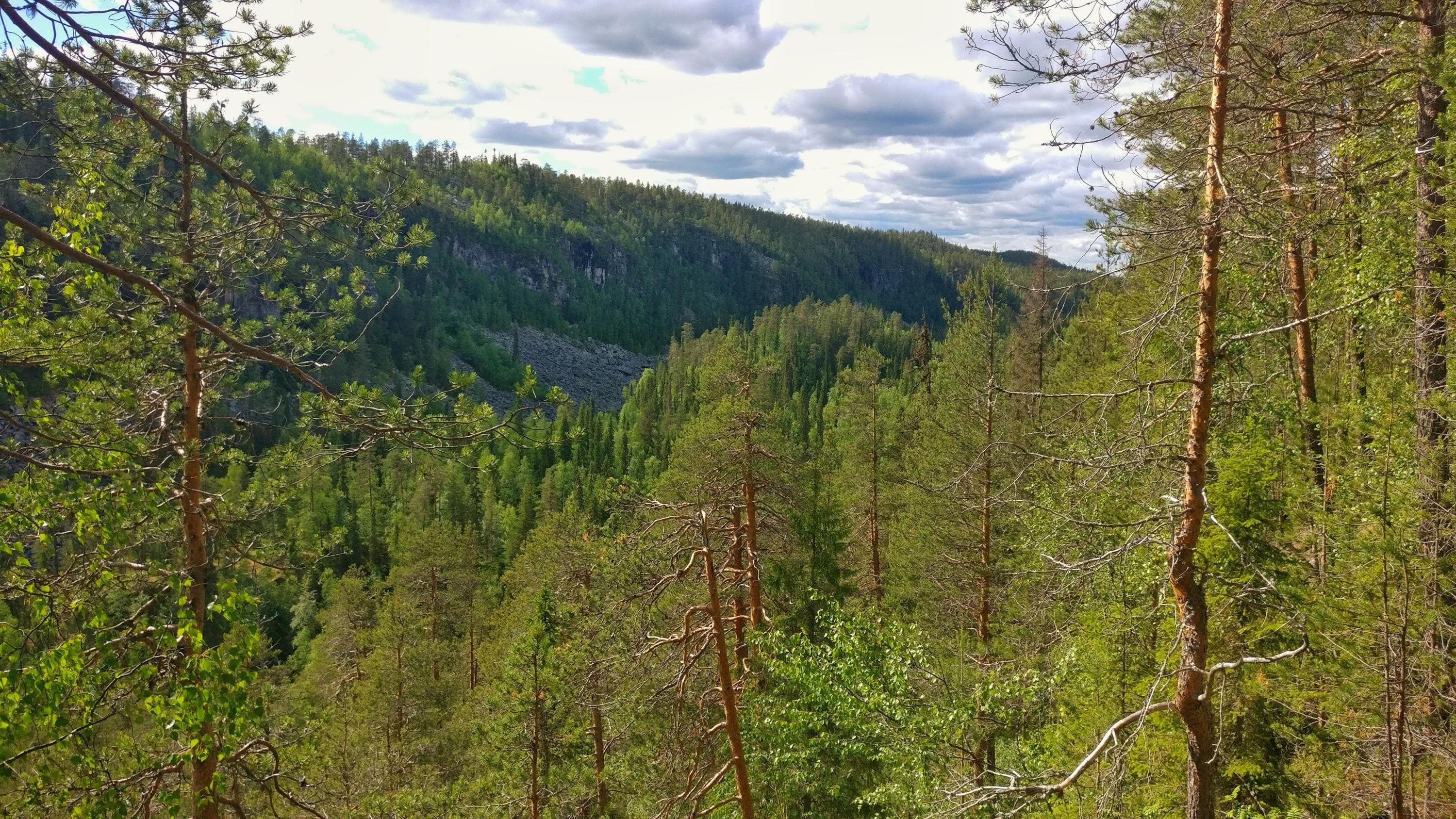 Along the Koronjää trail, you descend into the canyon.