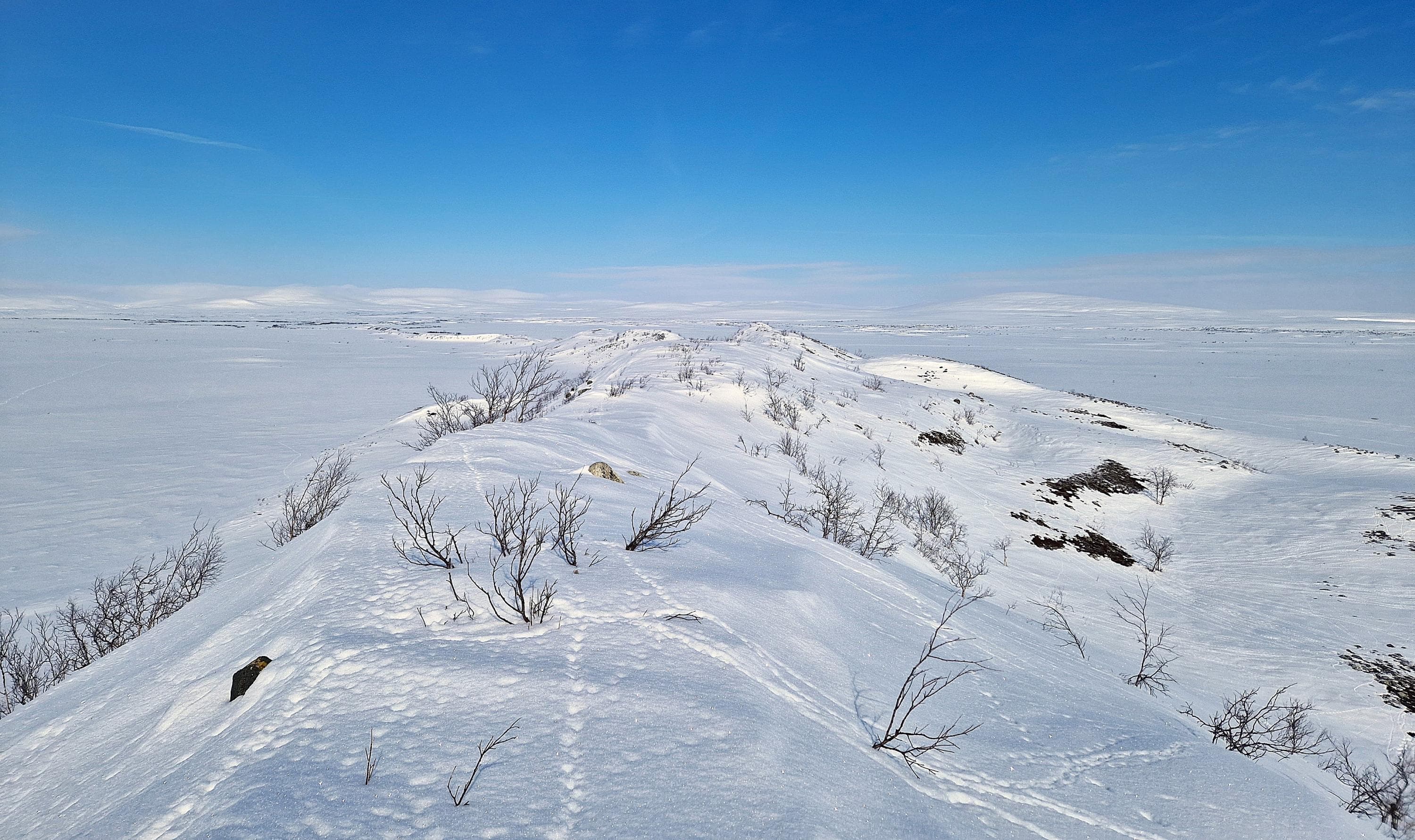 Kuva on otettu talvella. Kuvassa on luminen maisema, sininen taivas ja siinä näkyy harjumuodostelma.