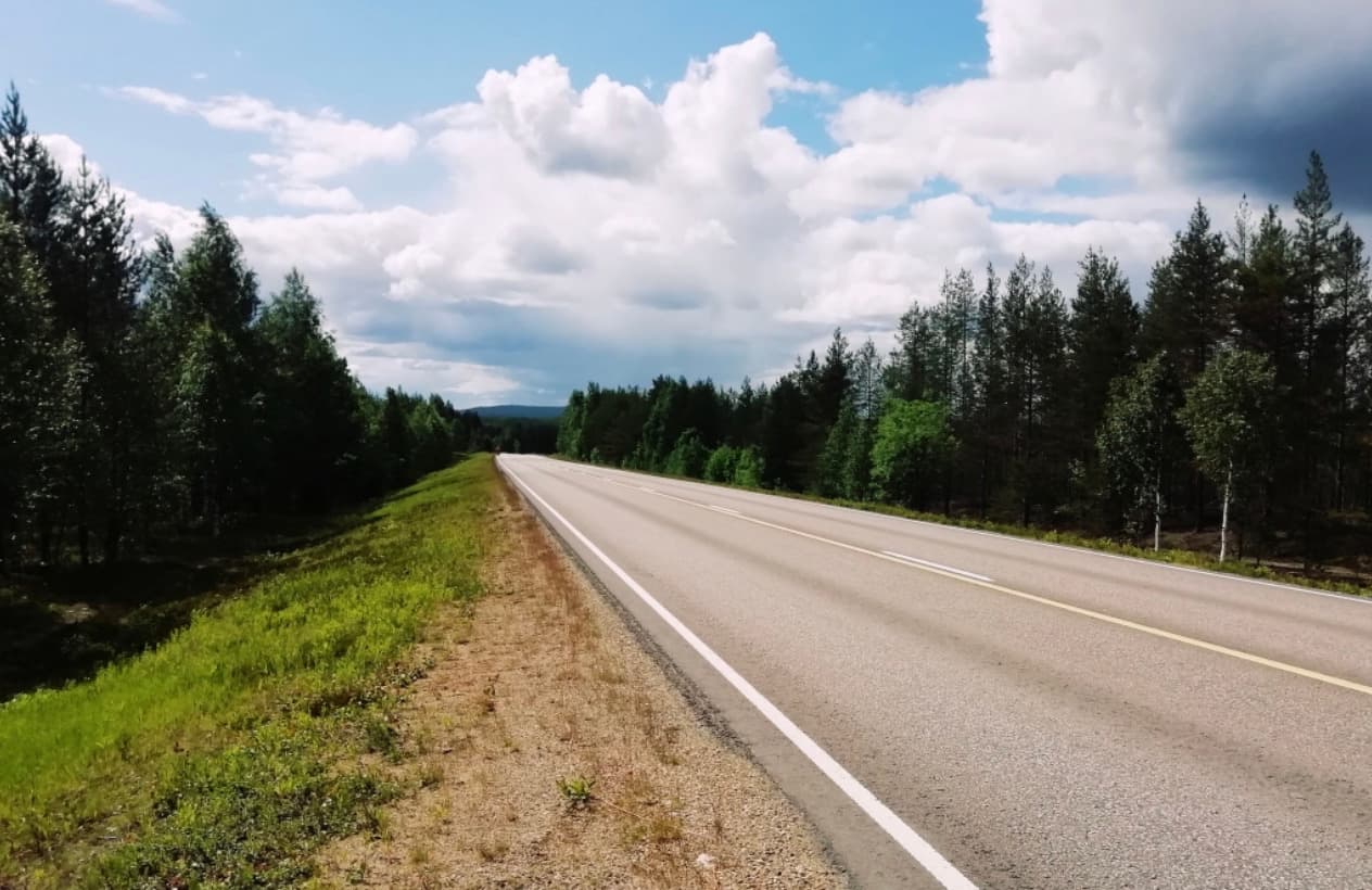 Tie metsän keskellä