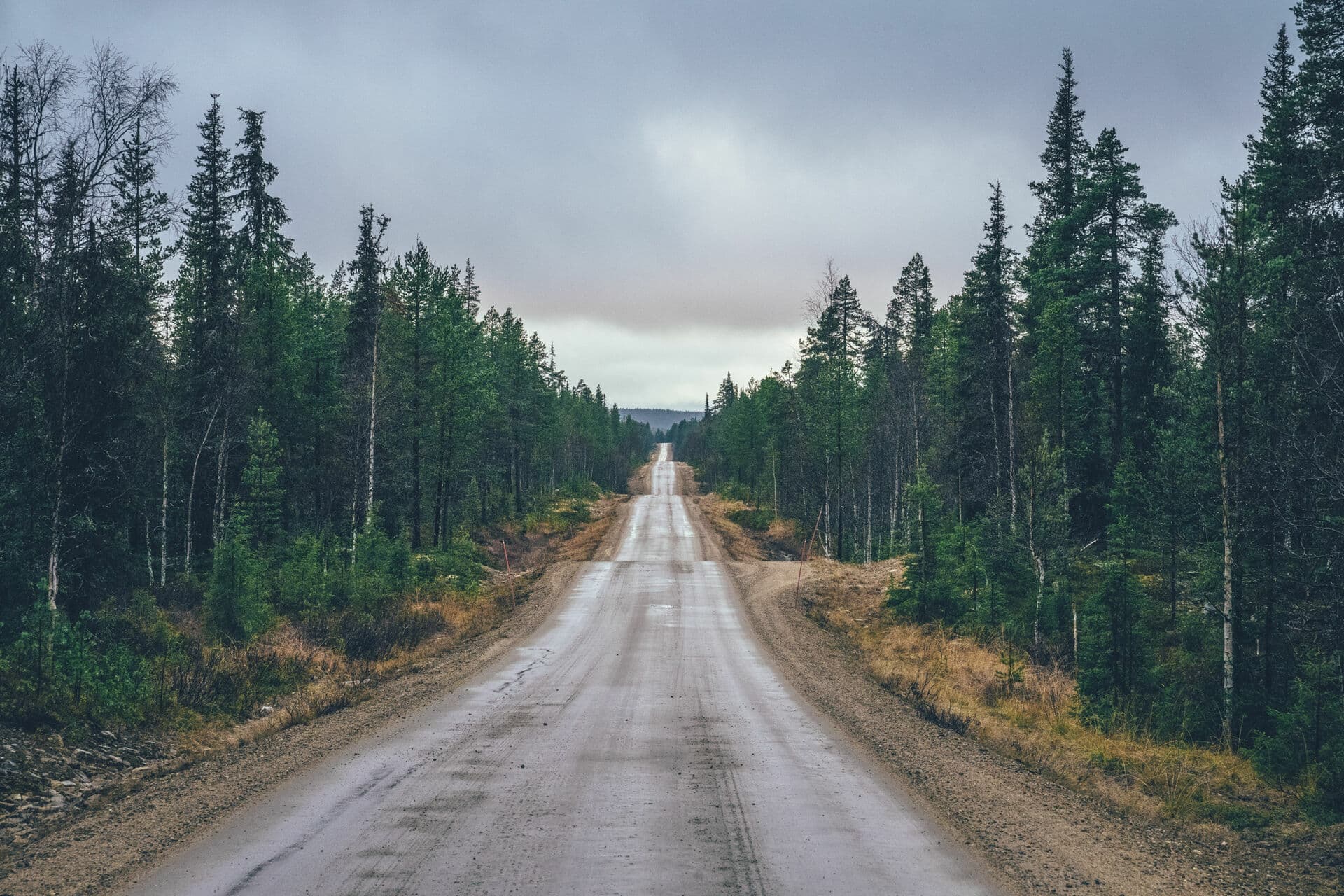 Metsän reunustama hiekkatie