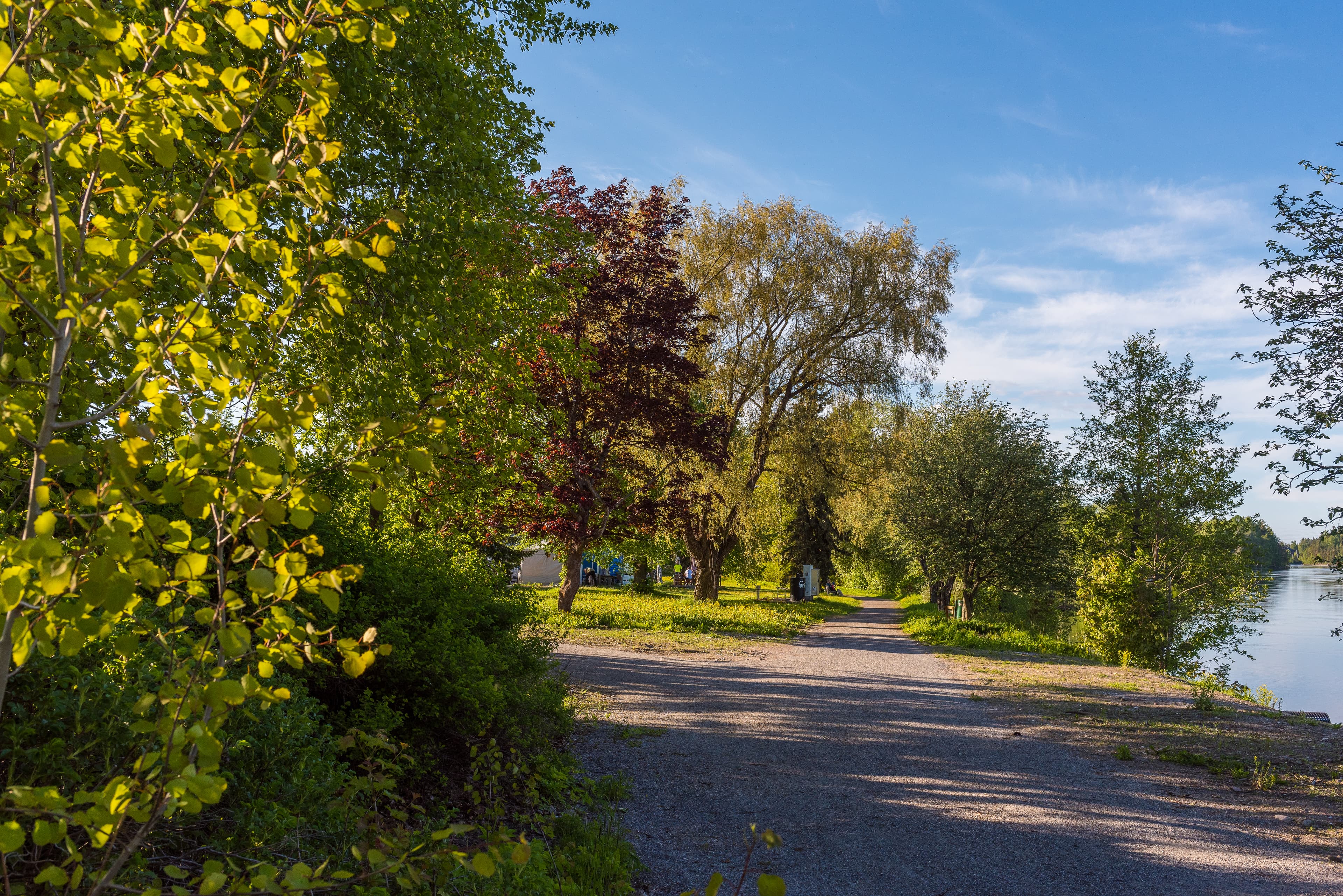 Hiekkatie kulkee vehreiden puiden läpi. Vasemmalla puolella on tiheää kasvillisuutta ja oikealla näkyy joki. Taivas on kirkas ja sininen, ja aurinko paistaa luoden varjoja polulle.