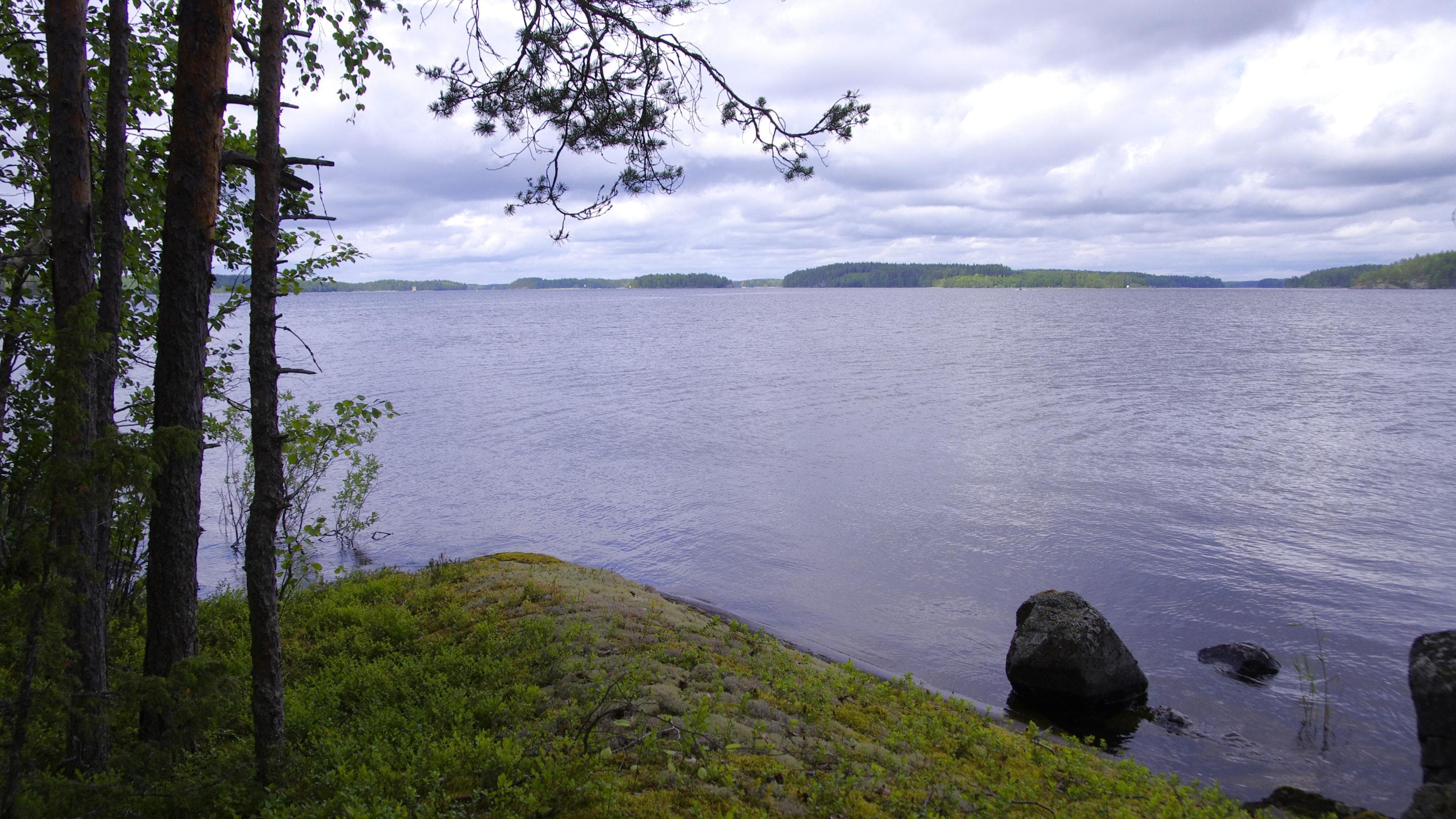 Kesäinen järvimaisema pilvisenä päivänä.
