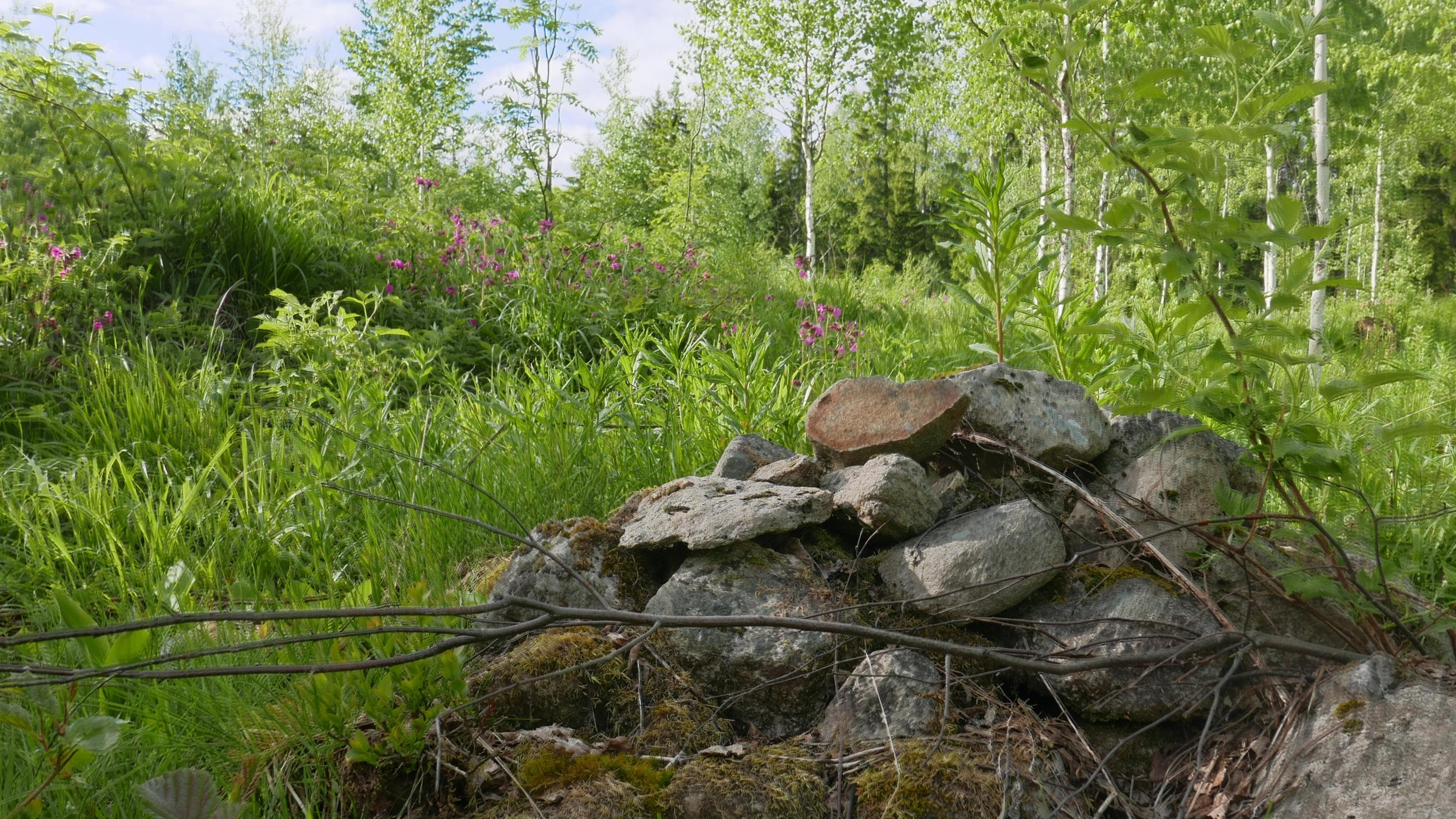 Längs Rietulankierto rundan kan du se handstaplade stenrösen, svedjeruiner. Stenarna samlades en gång innan sådd vid kanten av odlingsområdena så att de inte skulle ta upp plats från grödorna.