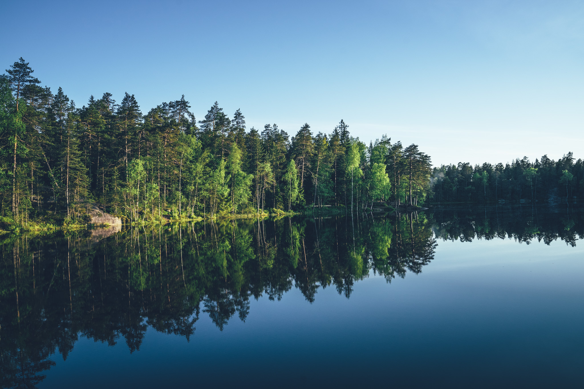 Metsä heijastuu peilityynestä järven pinnasta