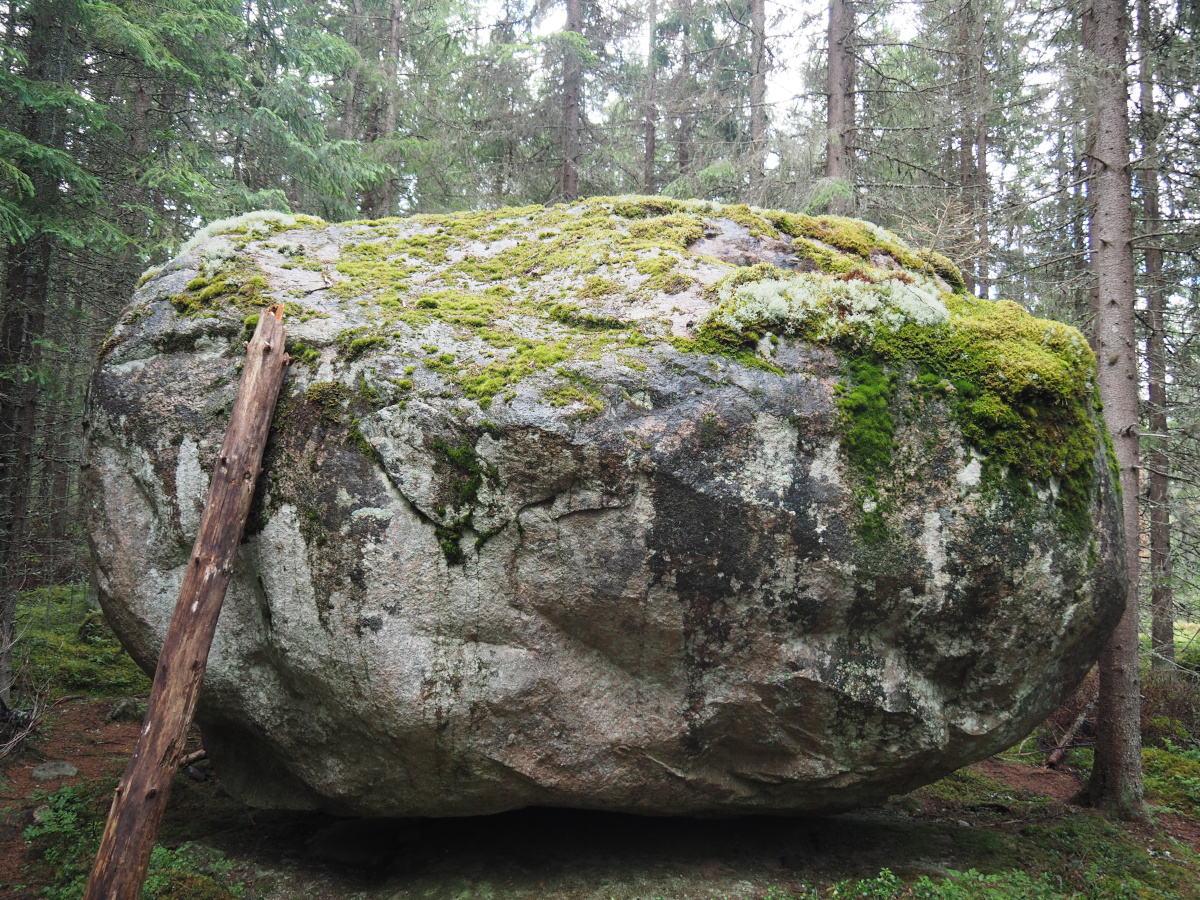 Siirtolohkare, Heiluva kivi, kuusikko