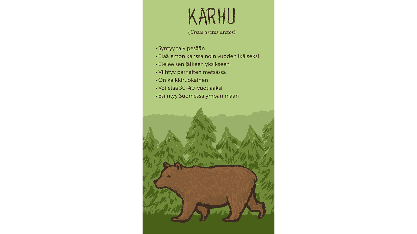 Piirroskuva kävelevästä karhusta. Taustalla metsä. Tekstissä kerrotaan karhusta.