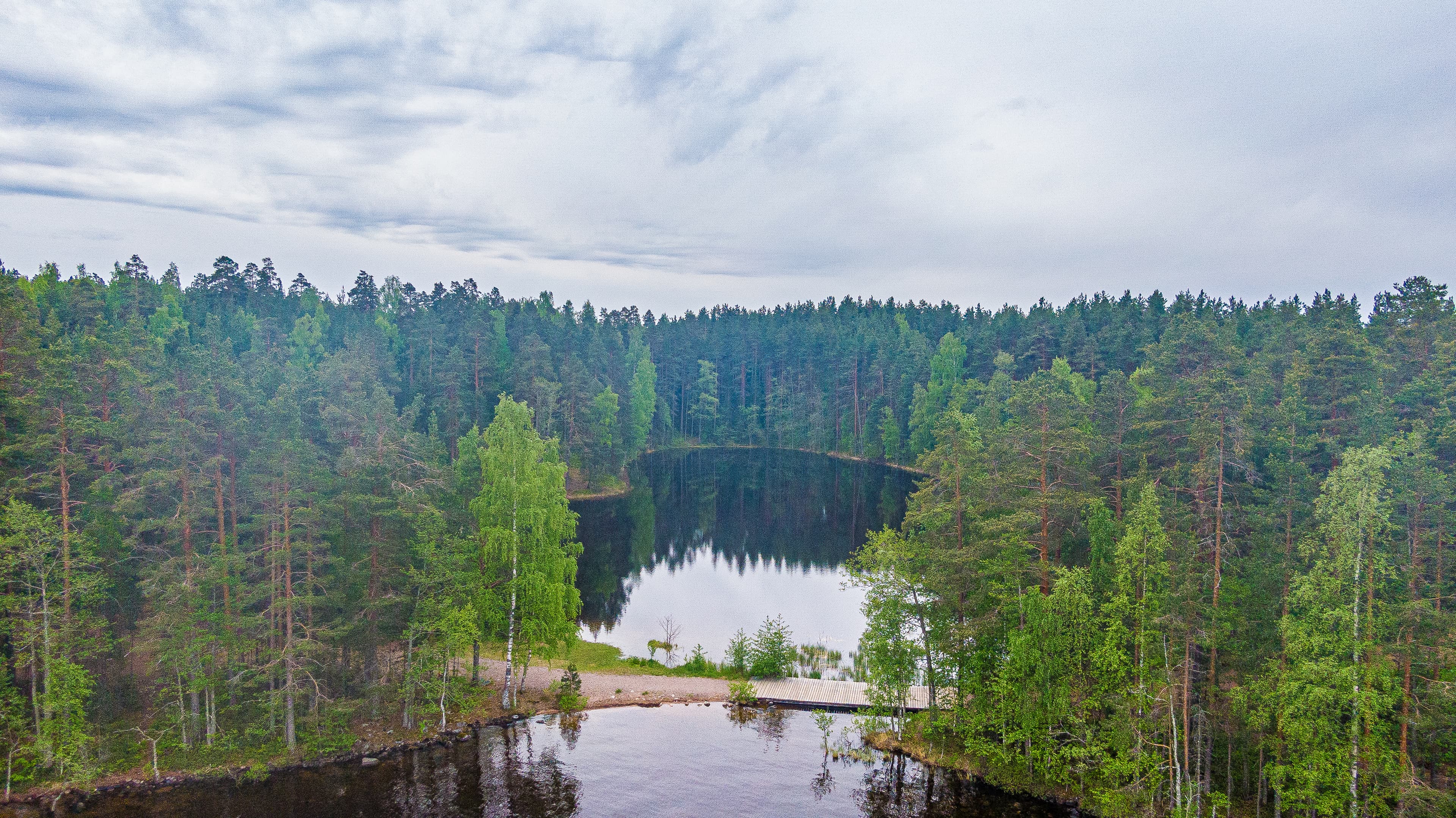 Rauhallinen metsämaisema, jossa etualalla on vesialue ja taustalla tiheä puusto.