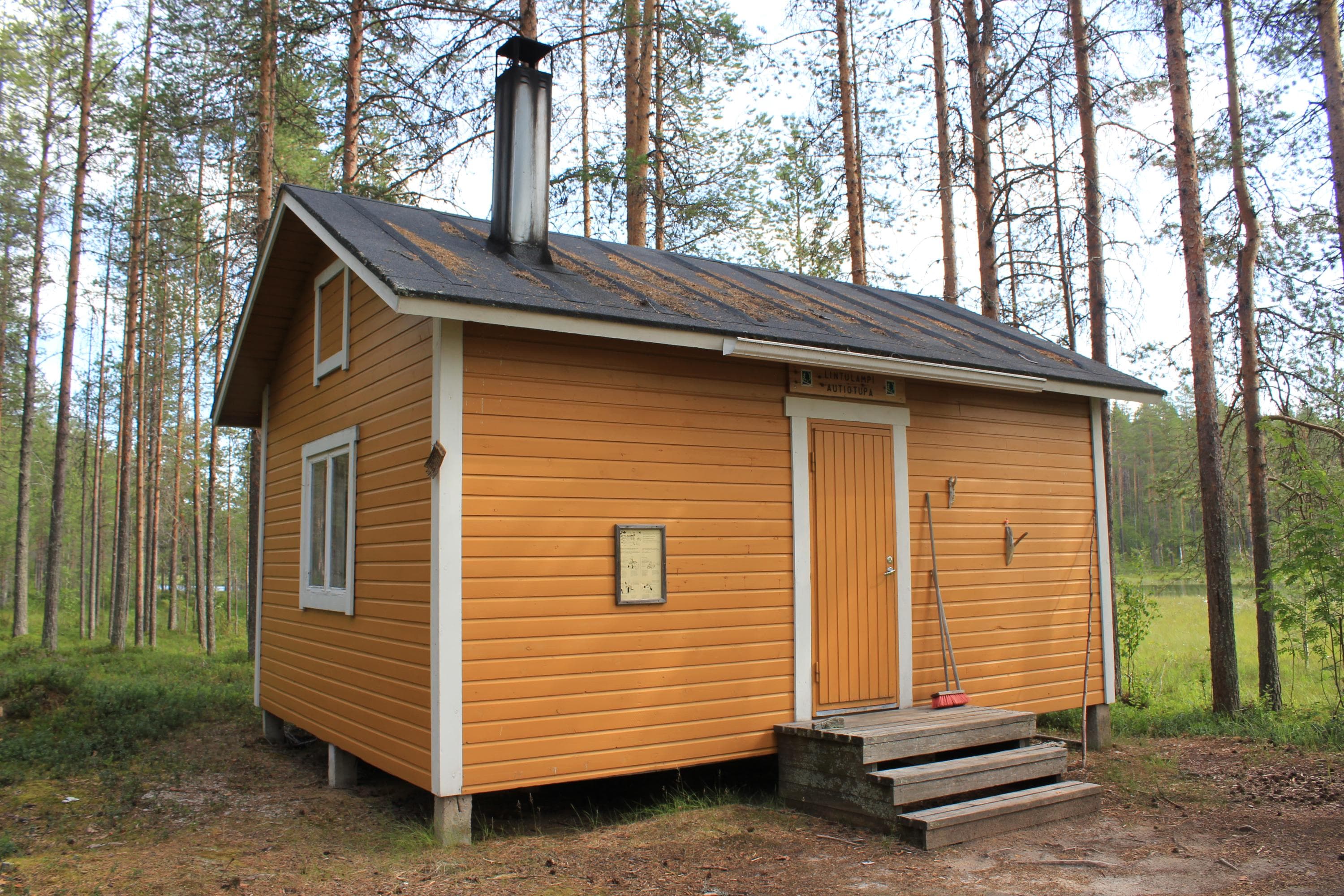 Keskellä keltainen lautamökki, jonka edessä portaat. Taustalla mäntymetsää. Edessä metsämaata.