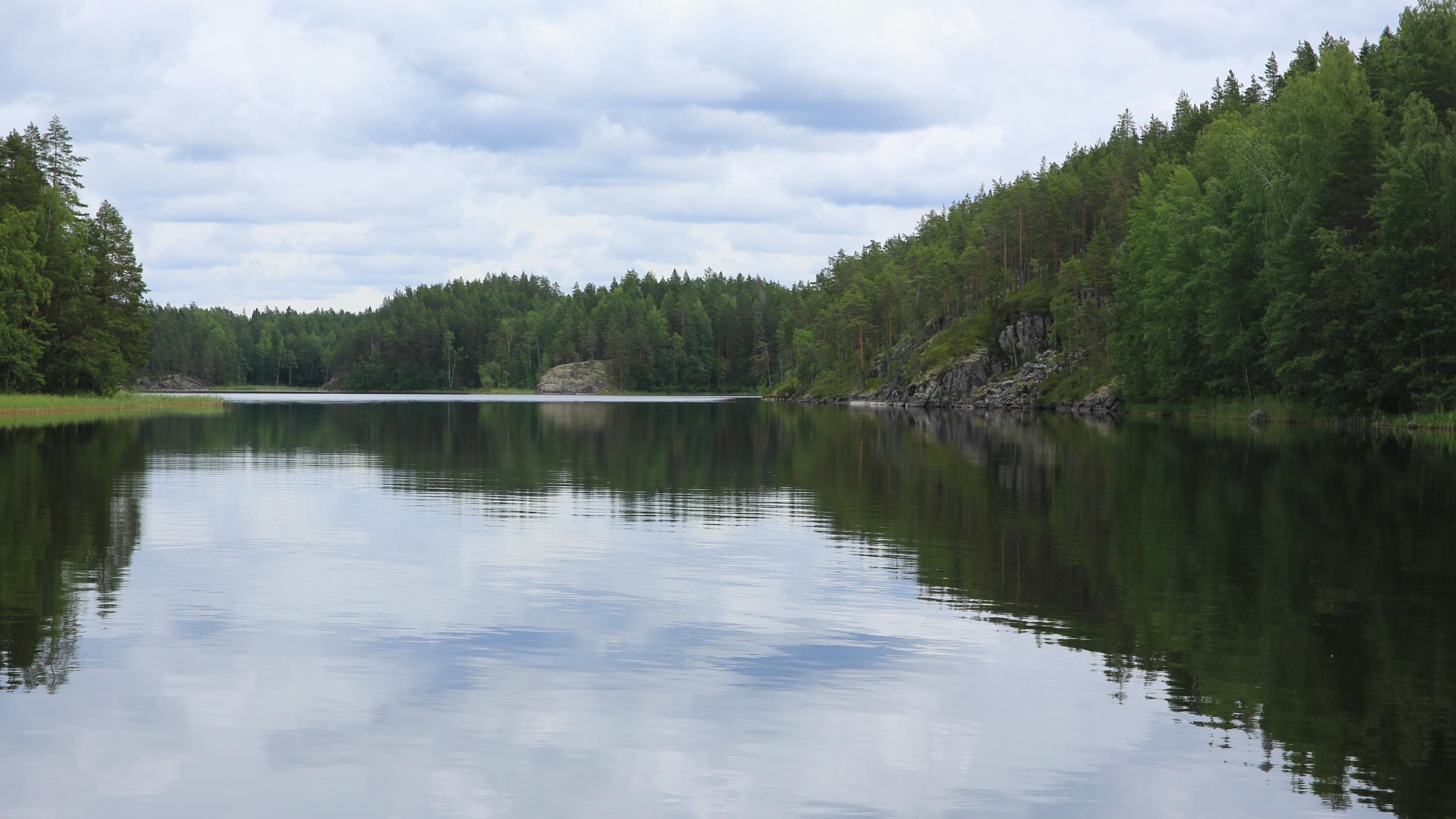 Tyyni järven pinta pilvisenä päivänä. Ympärillä metsää.