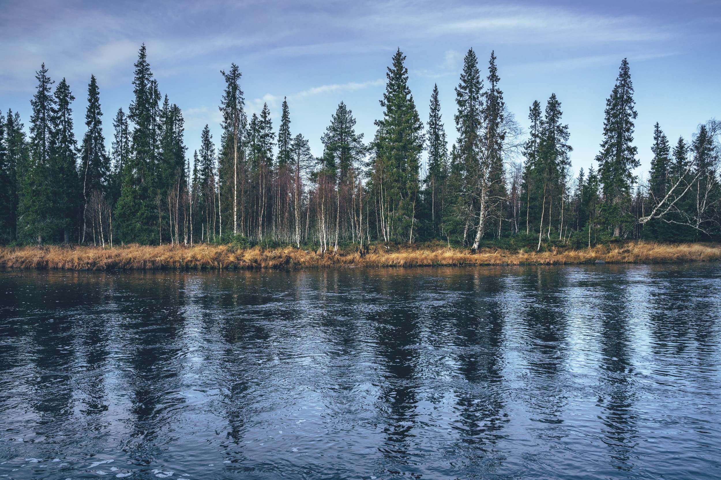 PA104278.JPG