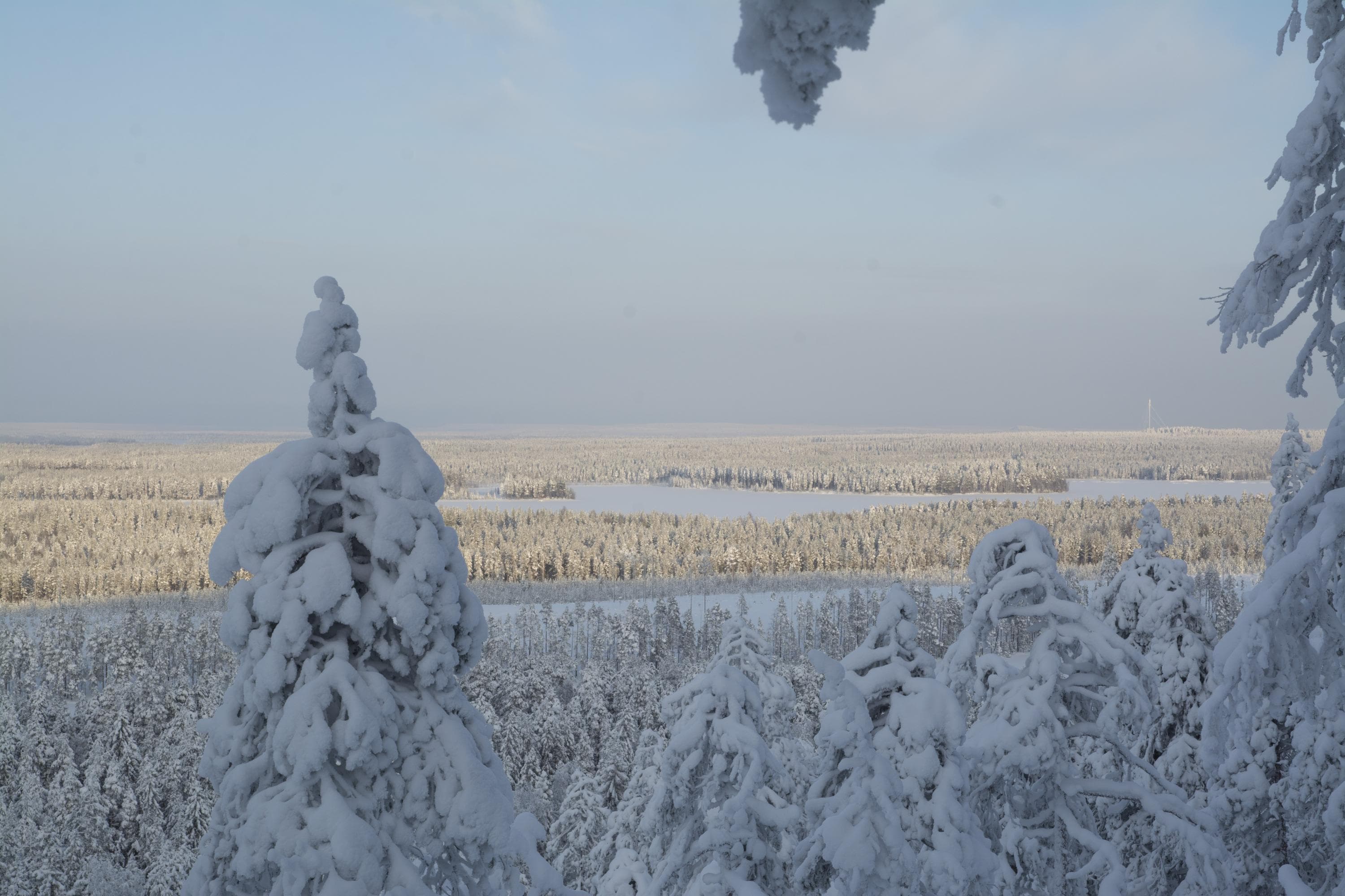 Talvinen maisema Jauhovaaralta.