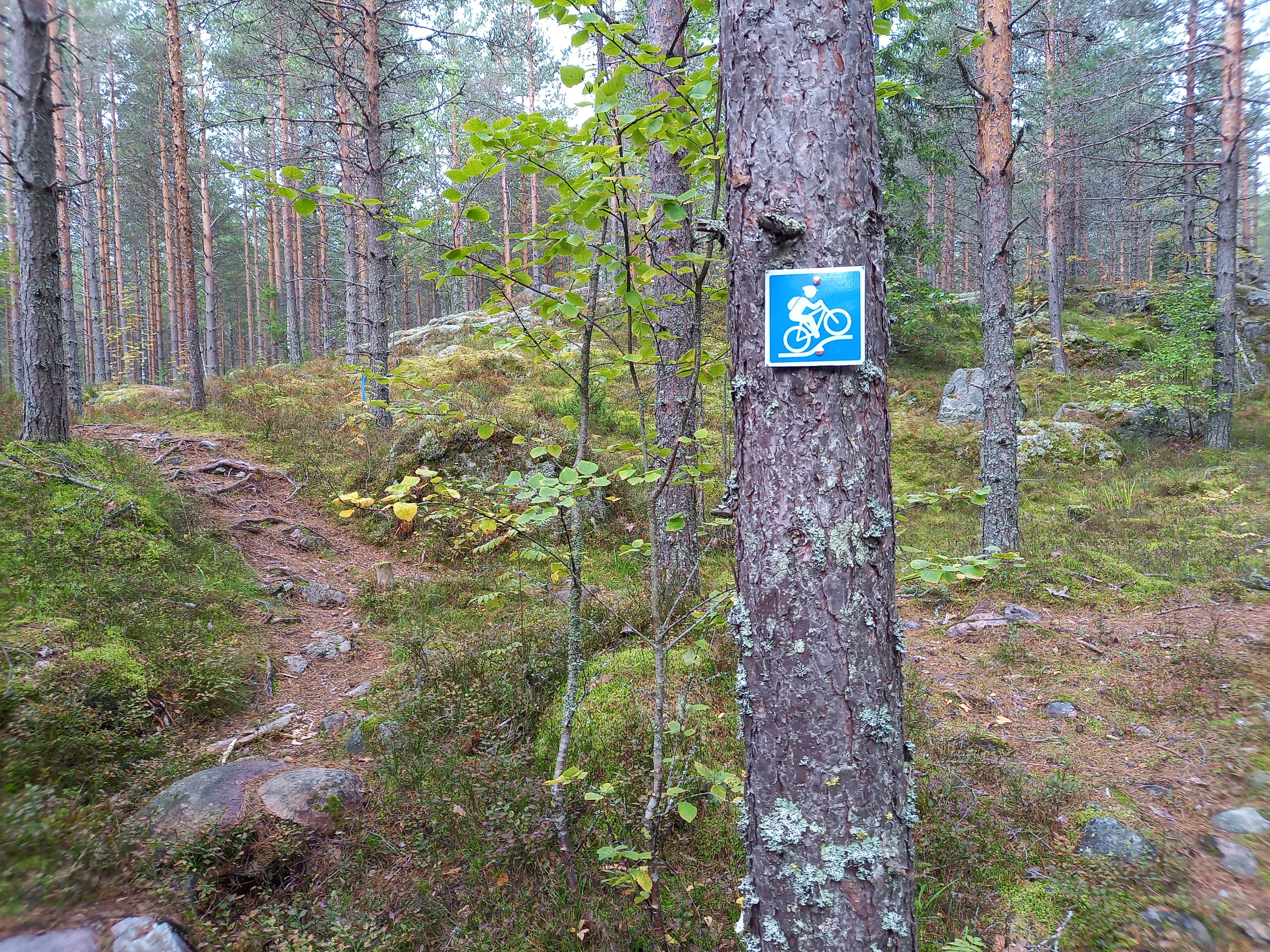 Huippupolku ylittää pieniä kallioita Tiirismaalla.