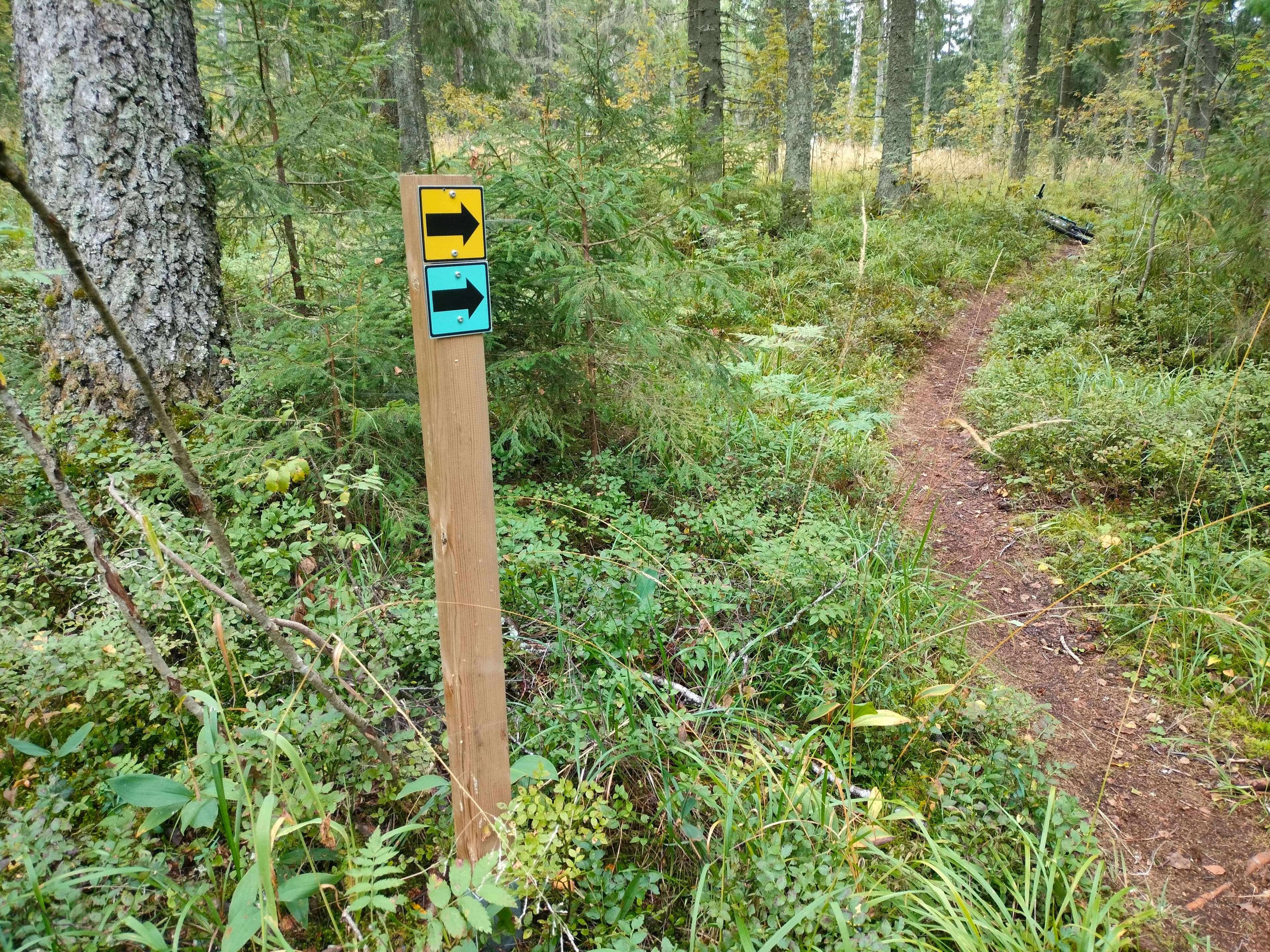 Tiirismaan maastopyöräilyreitit: sinimusta Huippupolku ja keltamusta vaativa Villilenkki.