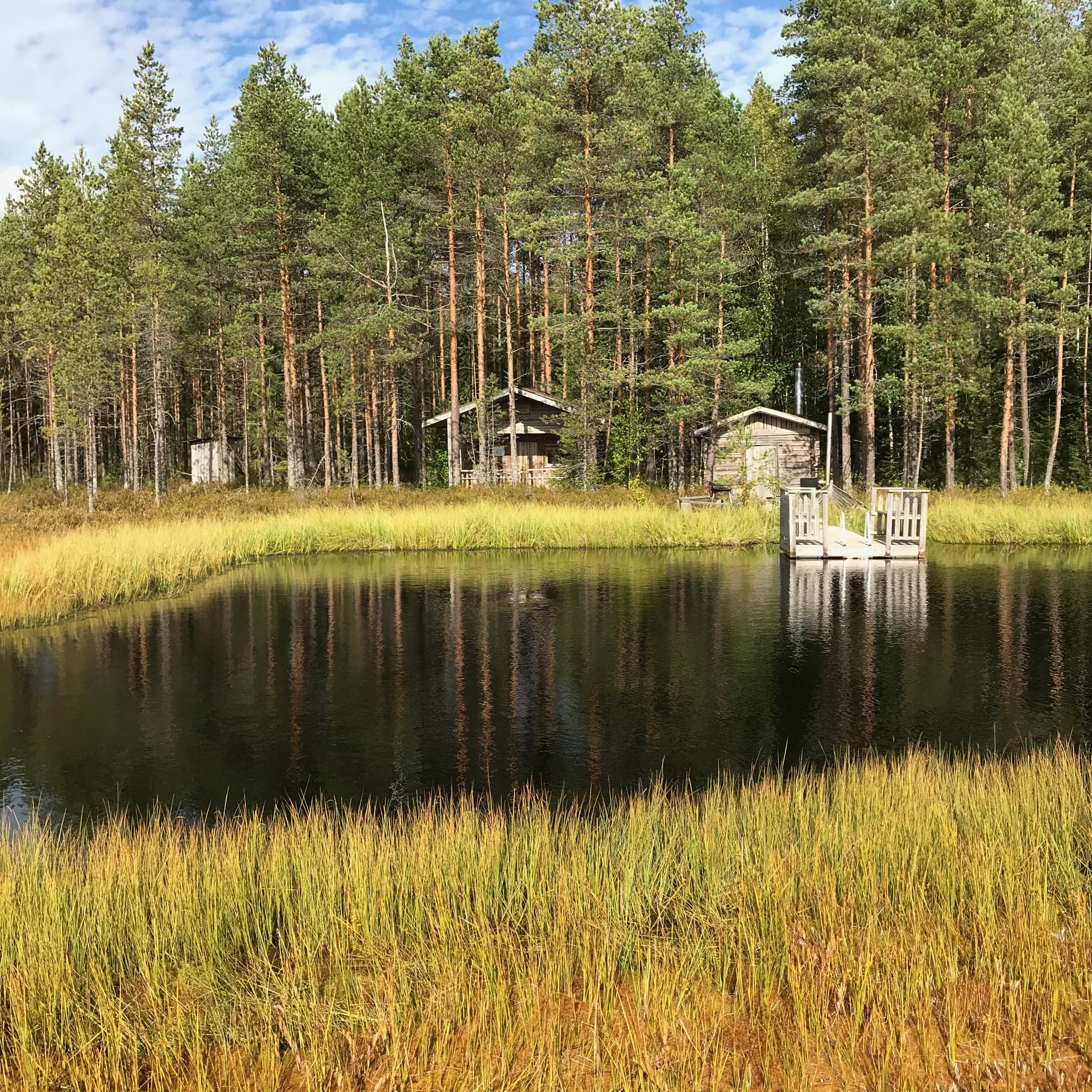 Poltinlammin mökki