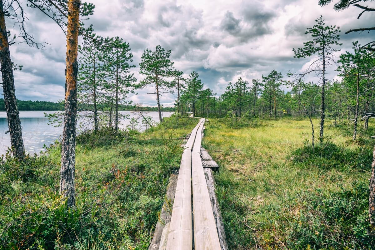 Tahinlammen kierros sijaitsee vain parin kilometrin päässä Pieksämäen keskustasta ja on helposti saavutettavissa vaikka jalan tai polkupyörällä. Silti se tarjoaa näköaloja koskemattomaan suomaastoon ja kauniille suolammelle.