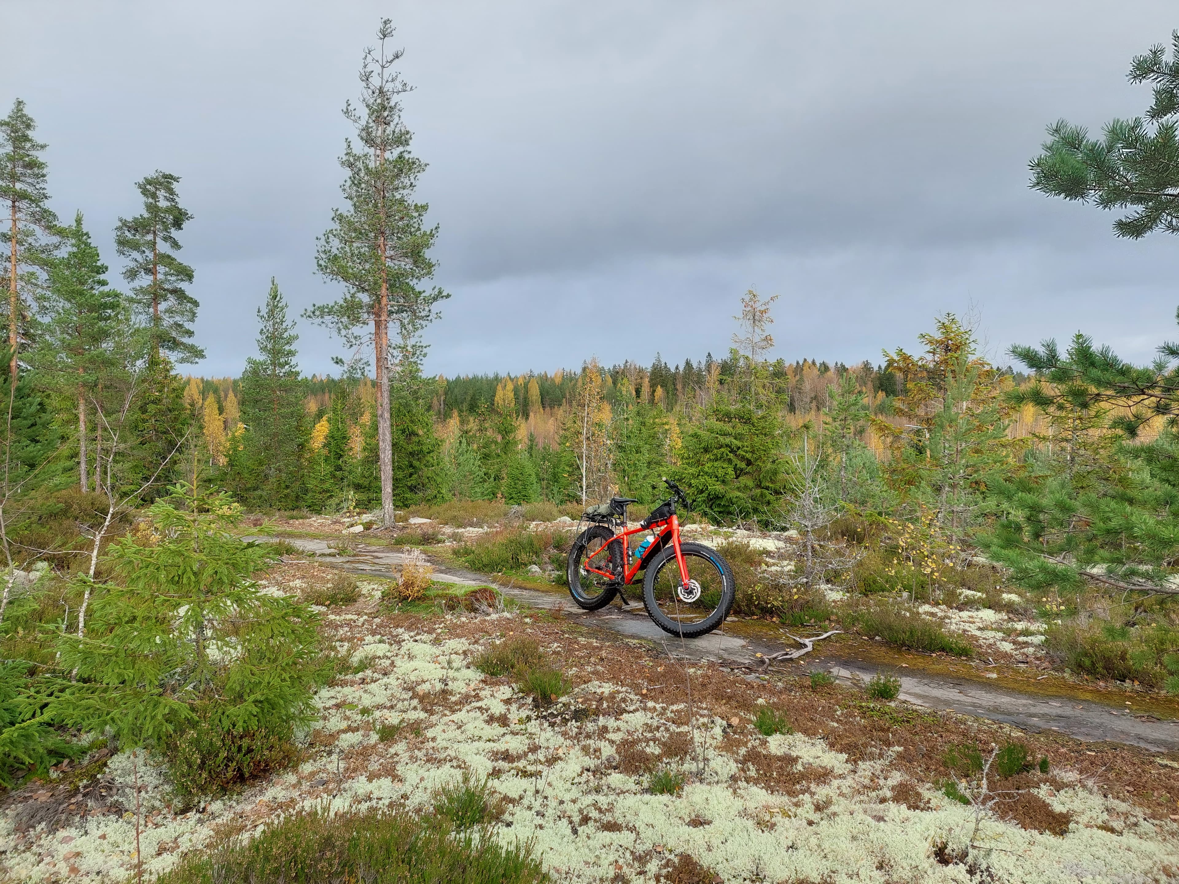 Sininen maastopolku kulkee jäkälän peittämällä kalliolla.