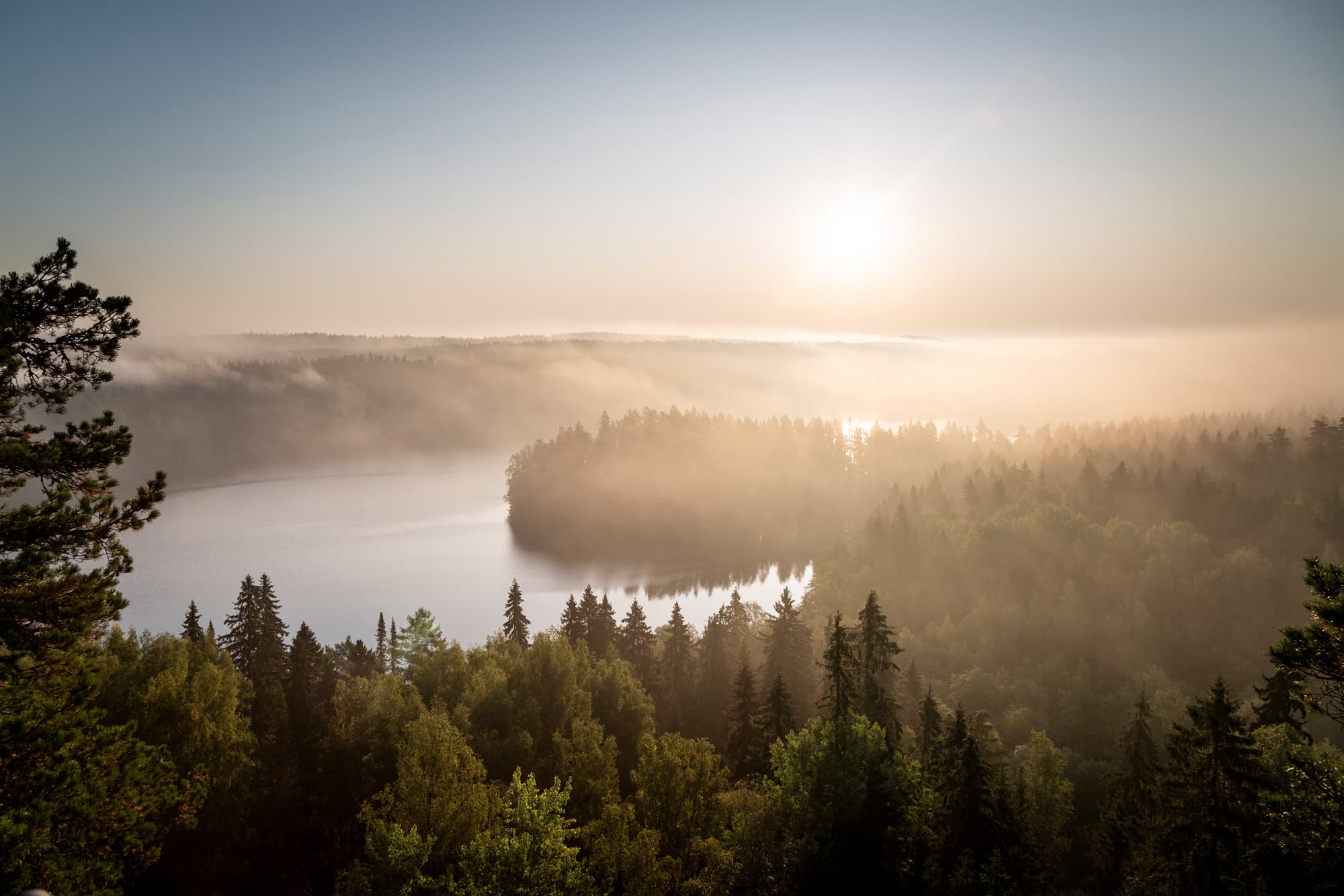 Edessä metsää ja takana avautuu järvimaisema, jota halkoo niemi. Ilma on sumuinen