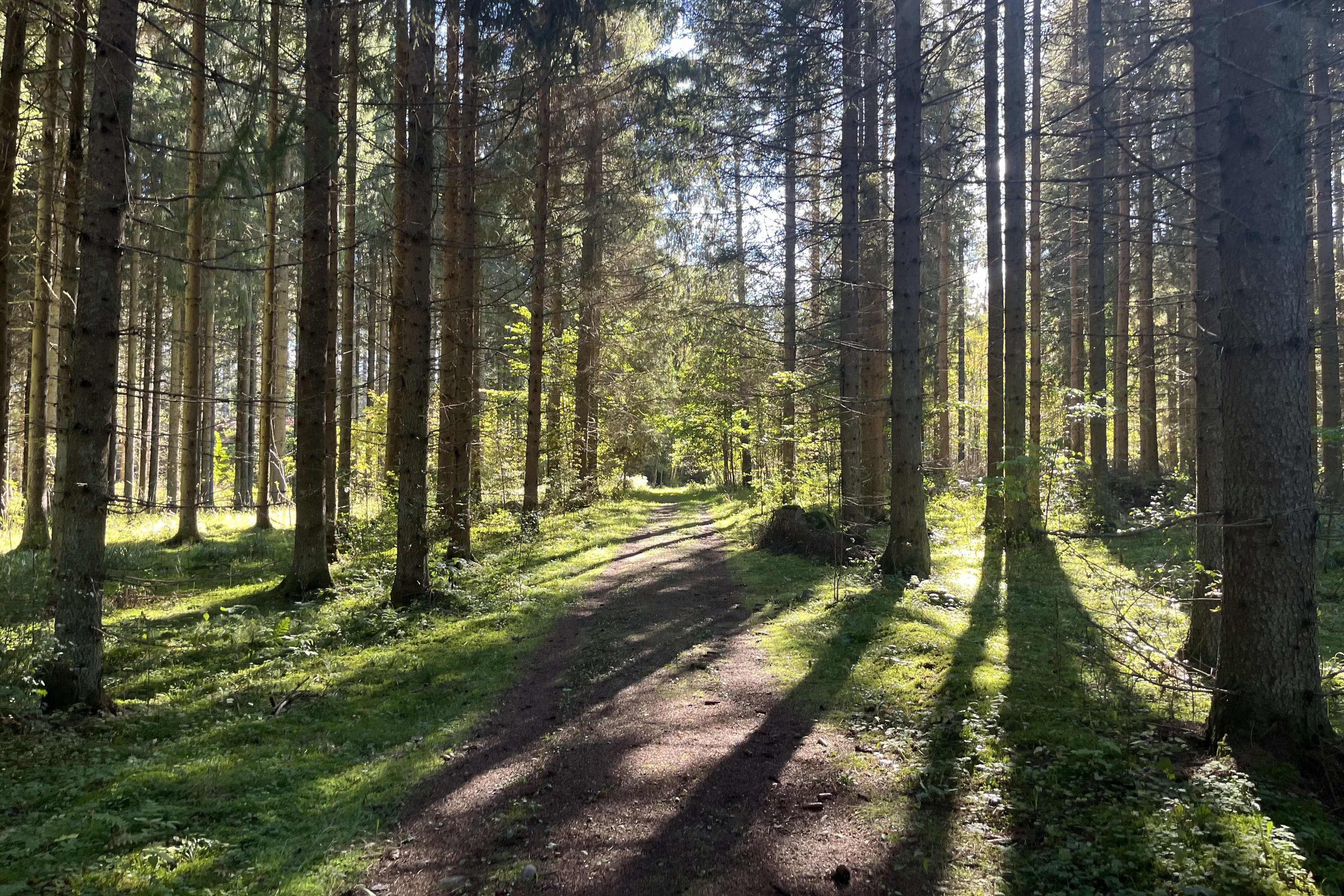Pikkupässireitti