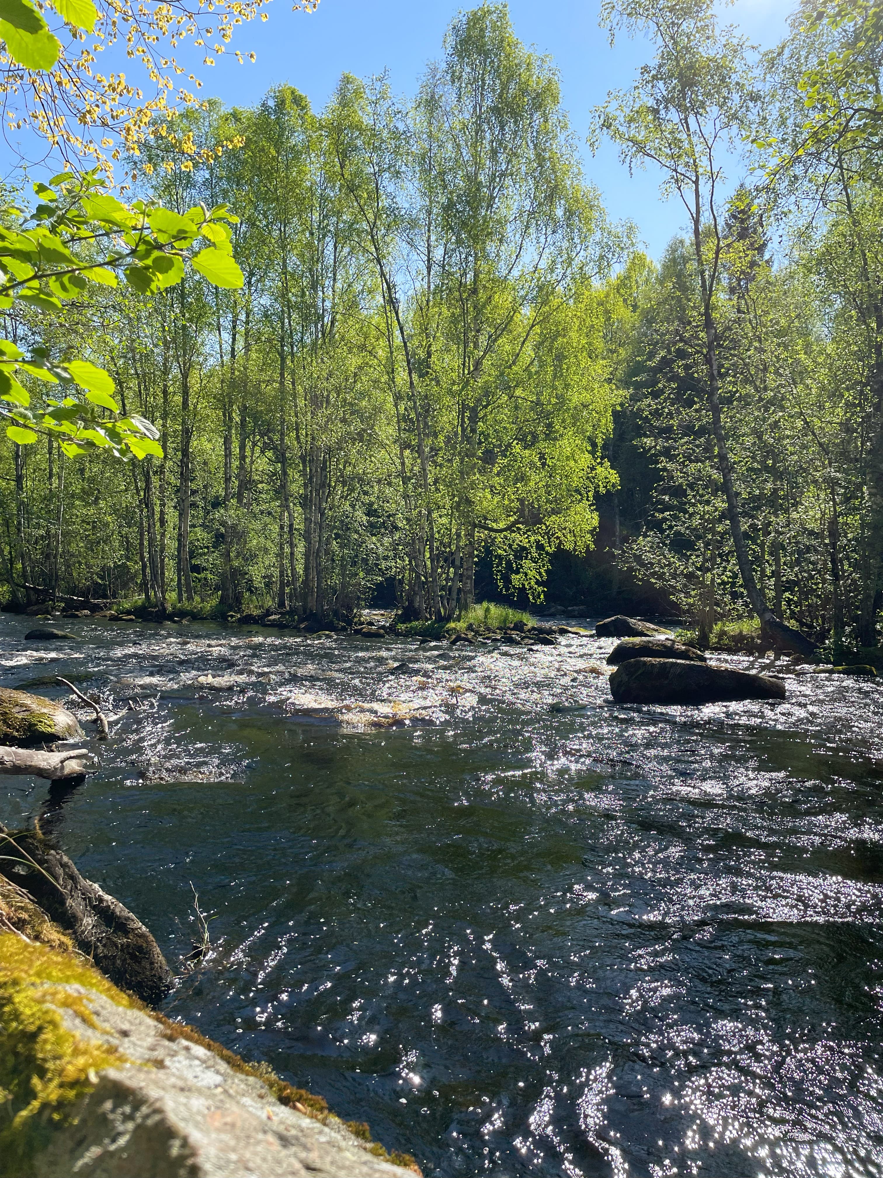 Heijostenkosken Myllykoski.
