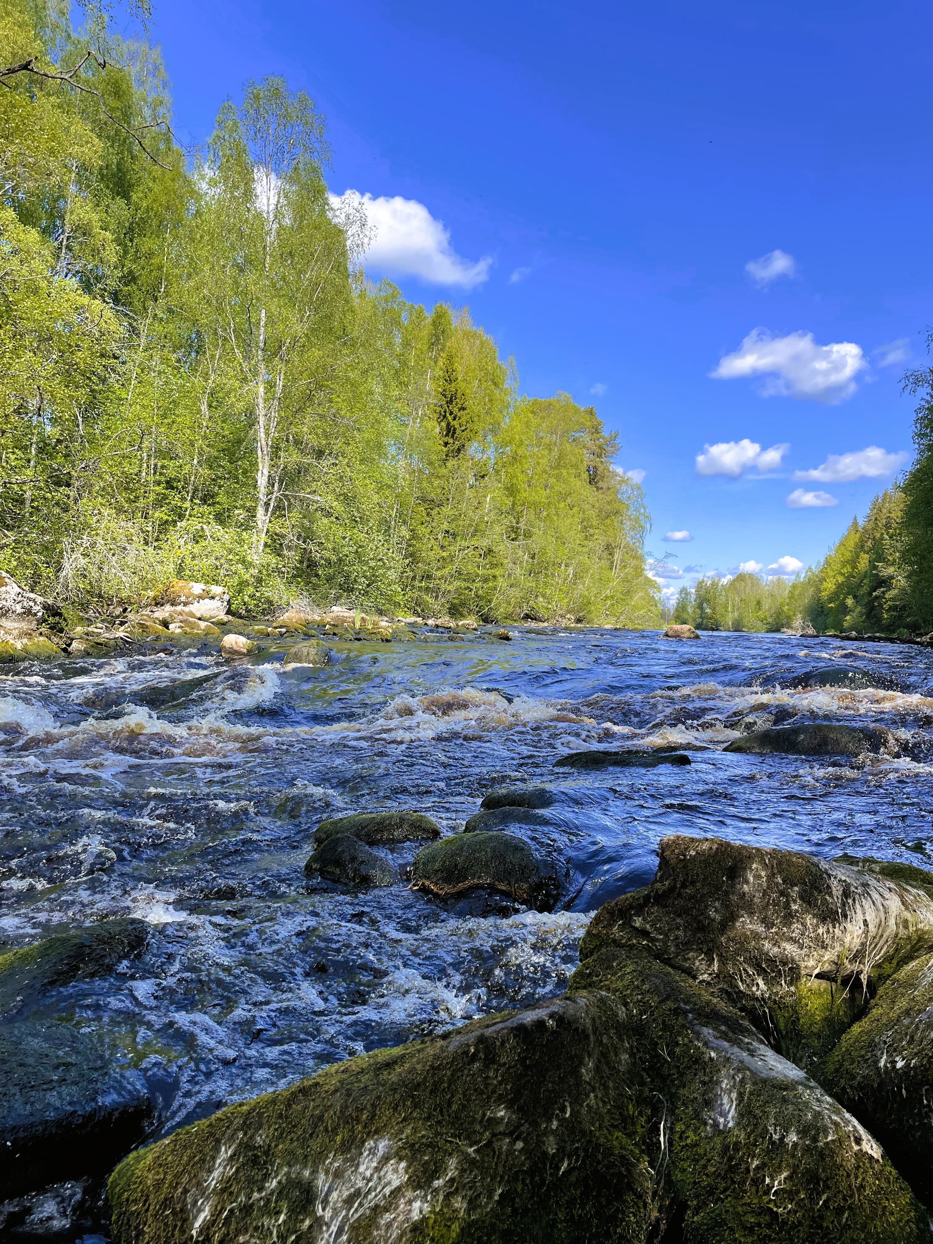Kalmukoski