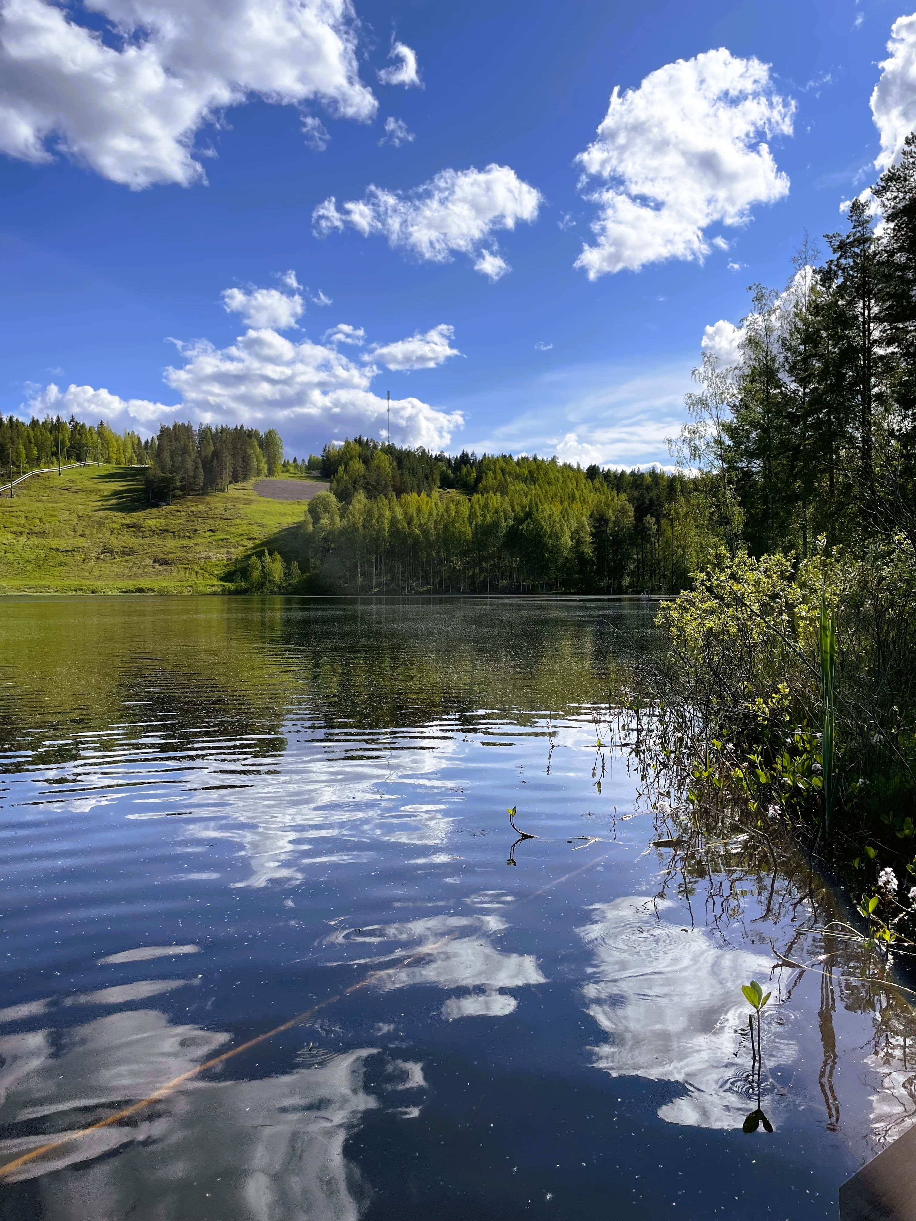 Pajulammen virkistyskalastusalue.