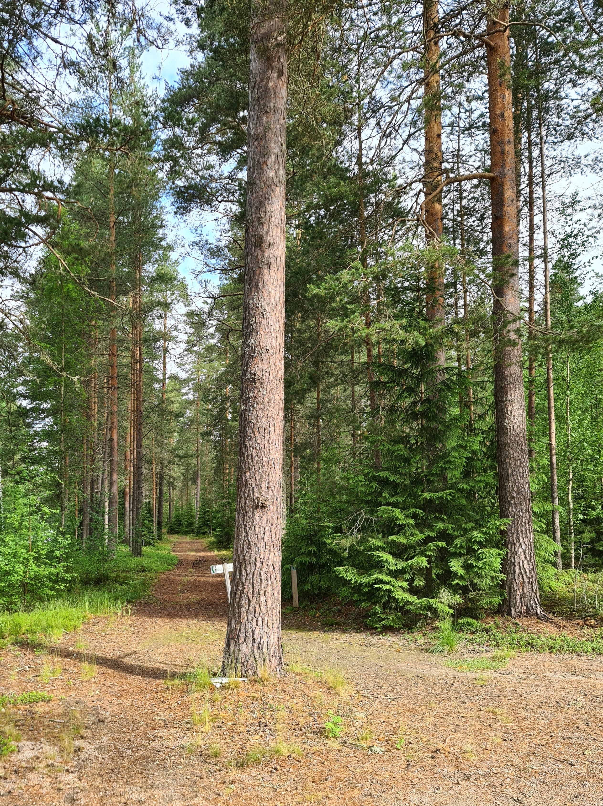 Reitillä on monimuotoista maastoa.