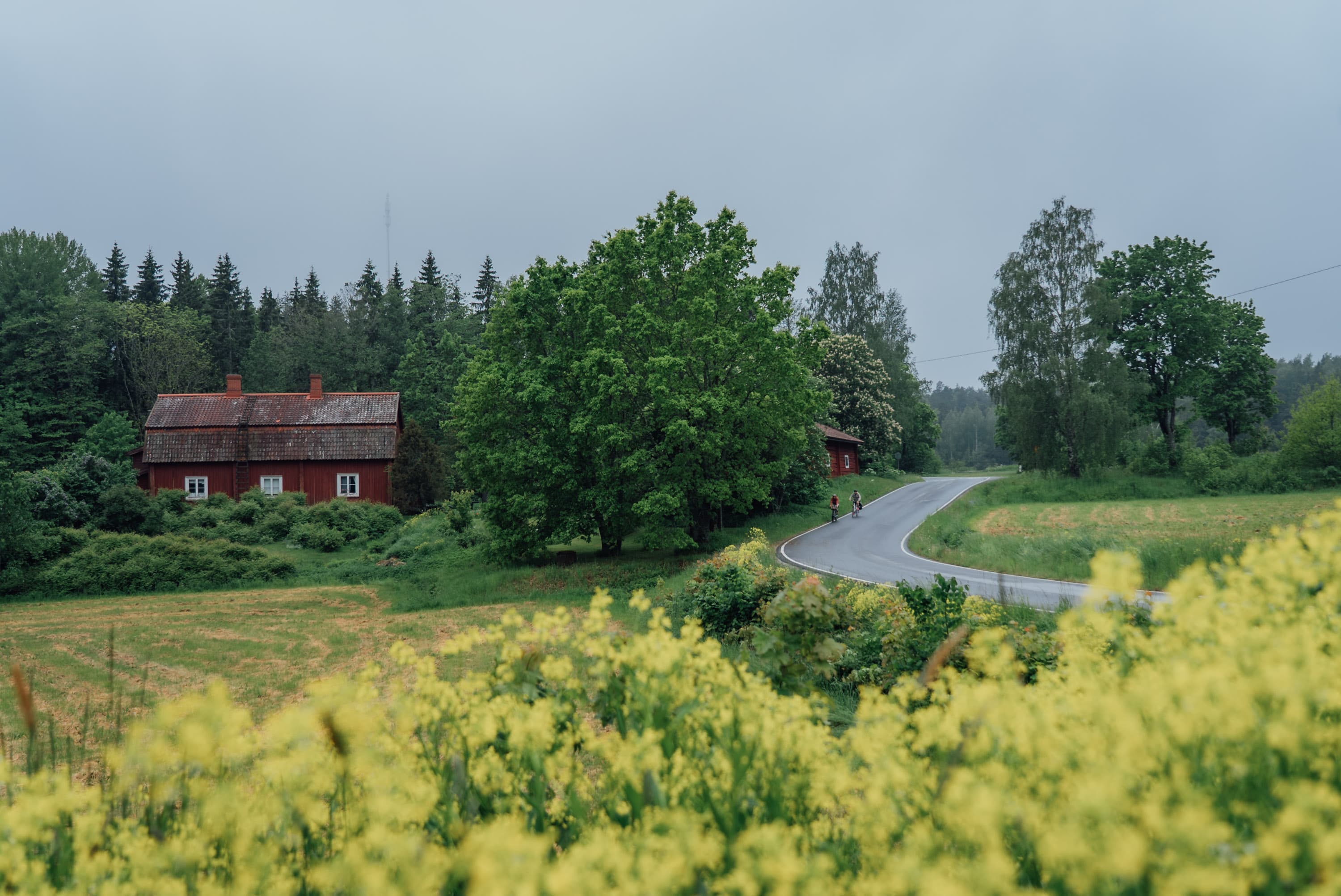 Kaksi pyöräilijää maalaismaiseman läpi kulkevalla märällä asfalttitiellä