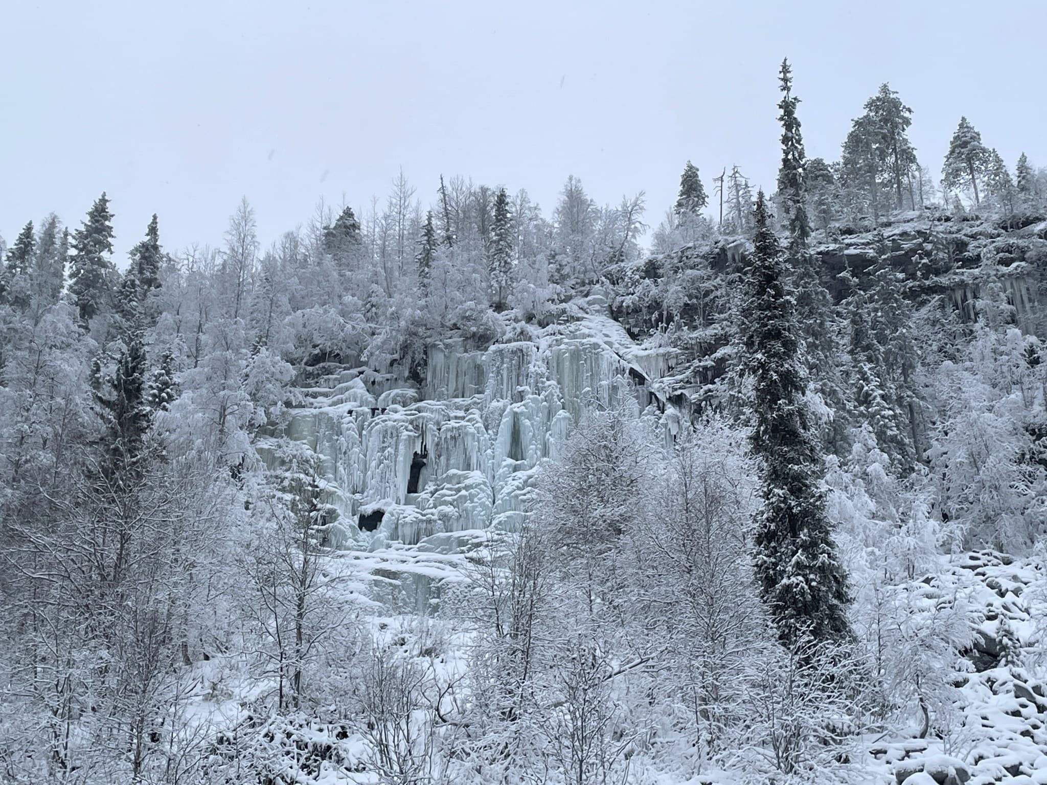 Sinertävä jääputous alkutalvella. Puissa on vähän lunta.