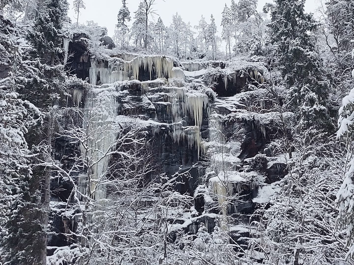 Onnekas icefall in early winter. The ice is bluish, there is little snow on the trees, and the weather is grey.