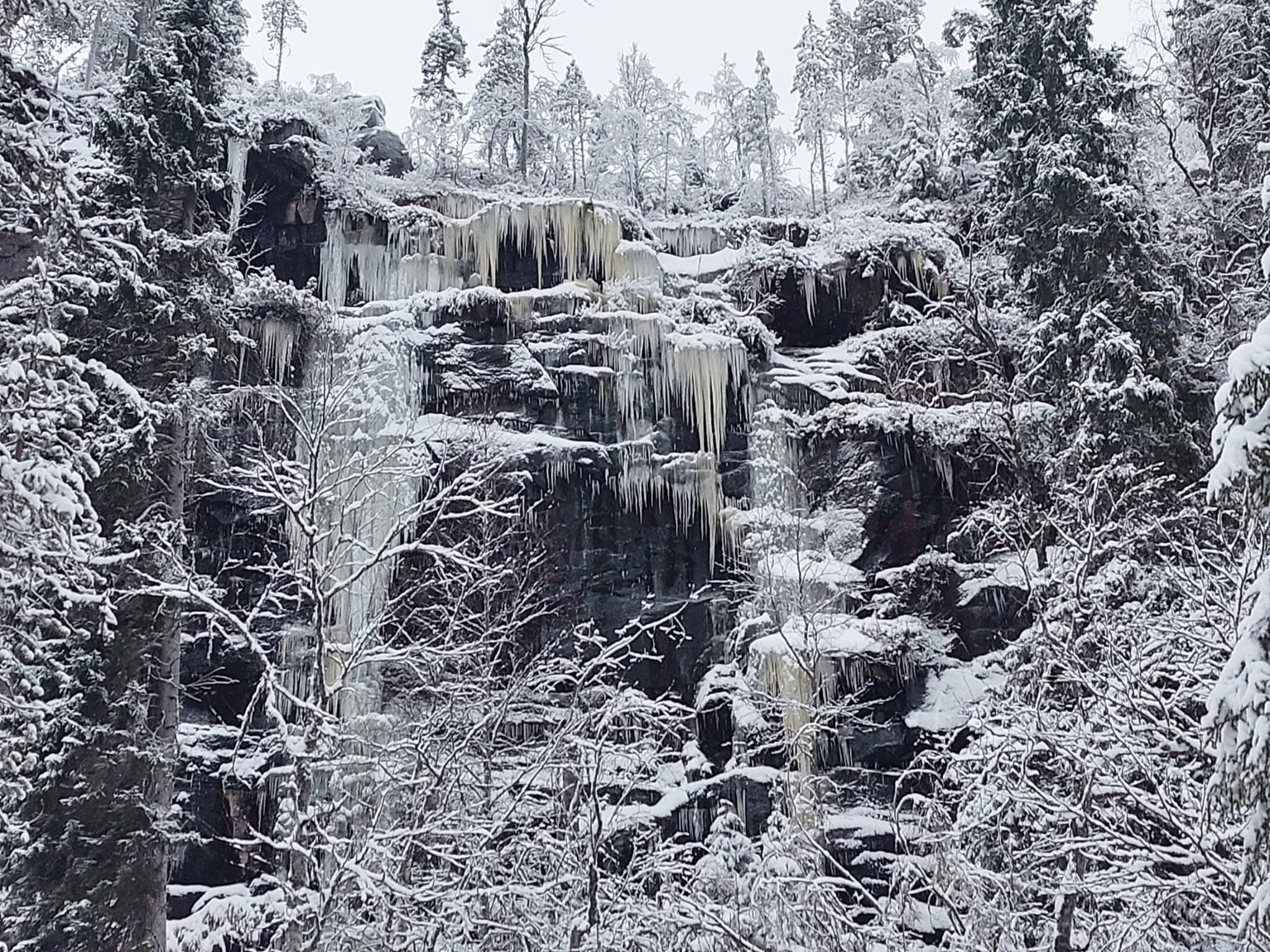 Sinertävä jääputous alkutalvella. Puissa on vähän lunta ja keli on harmaa.