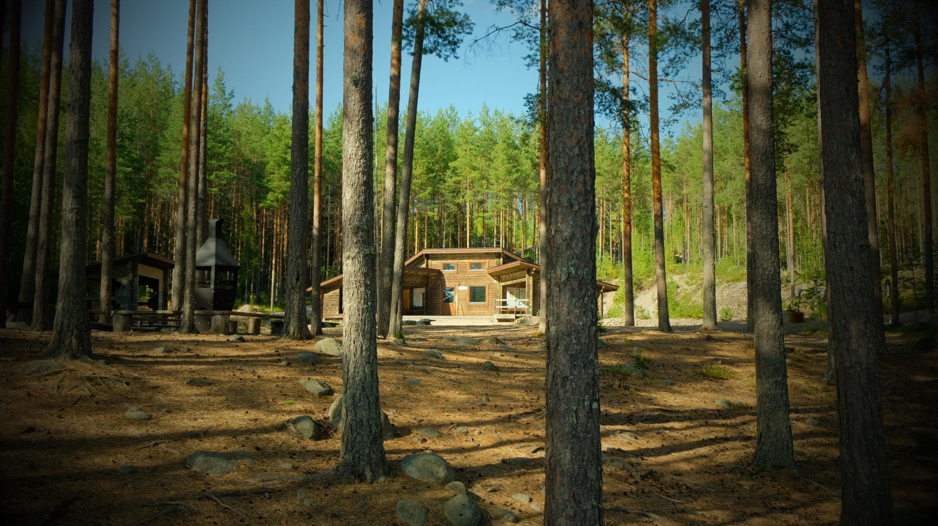 Puinen rakennus metsän keskellä. 