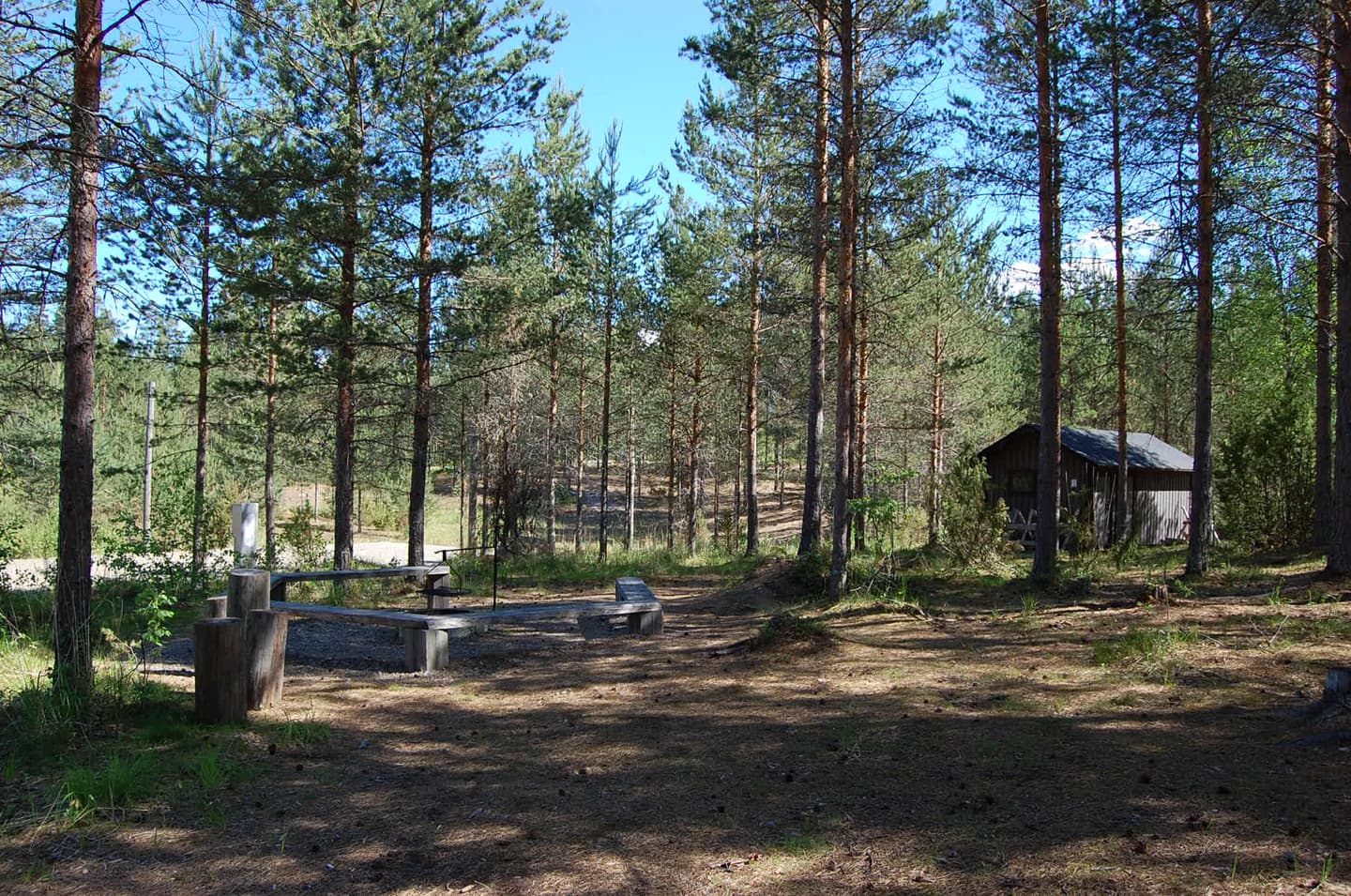 A forested area with a small log cabin in the background and benches and tables in a clearing. The ground has grass and shadows cast by the trees.