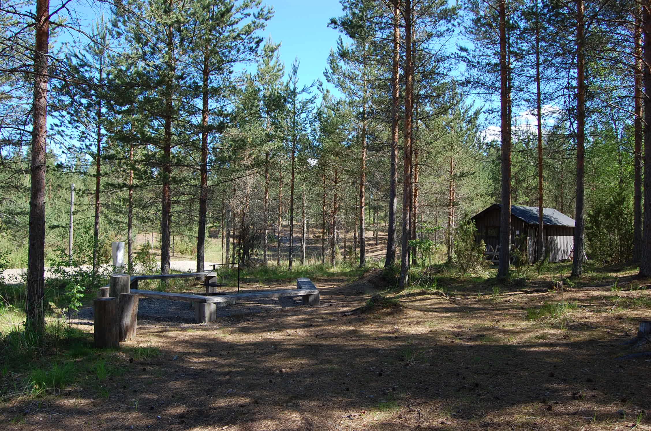 A forested area with a small log cabin in the background and benches and tables in a clearing. The ground has grass and shadows cast by the trees.